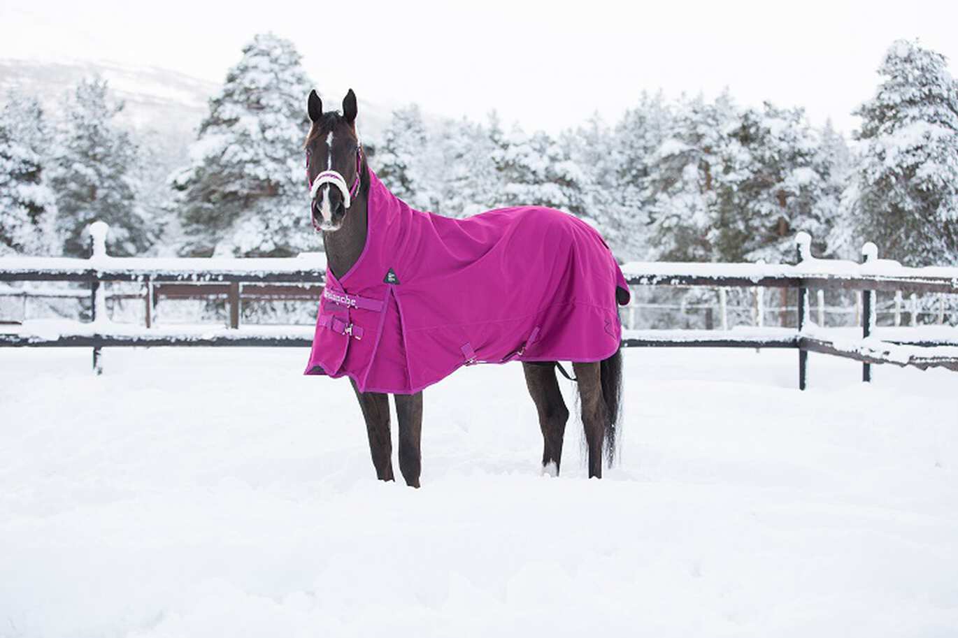 Turnierausrüstung: Das richtige Styling für das Turnier
