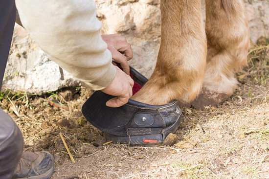 Hufschuhe - die praktische Alternative zum klassischen Hufbeschlag