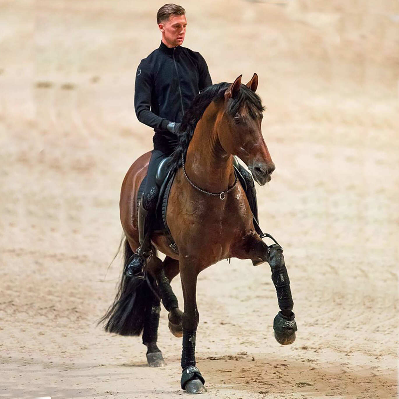 Reiter mit F.R.A. Kripton Neck Rope (System 1) Woven Leather, 15mm