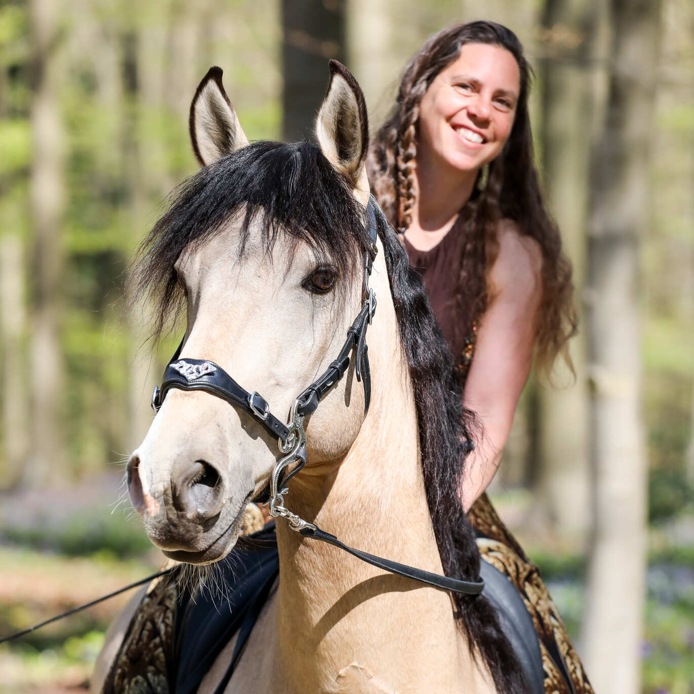 Frau auf Pferd mit F.R.A. Imperial Hackamore Zaum