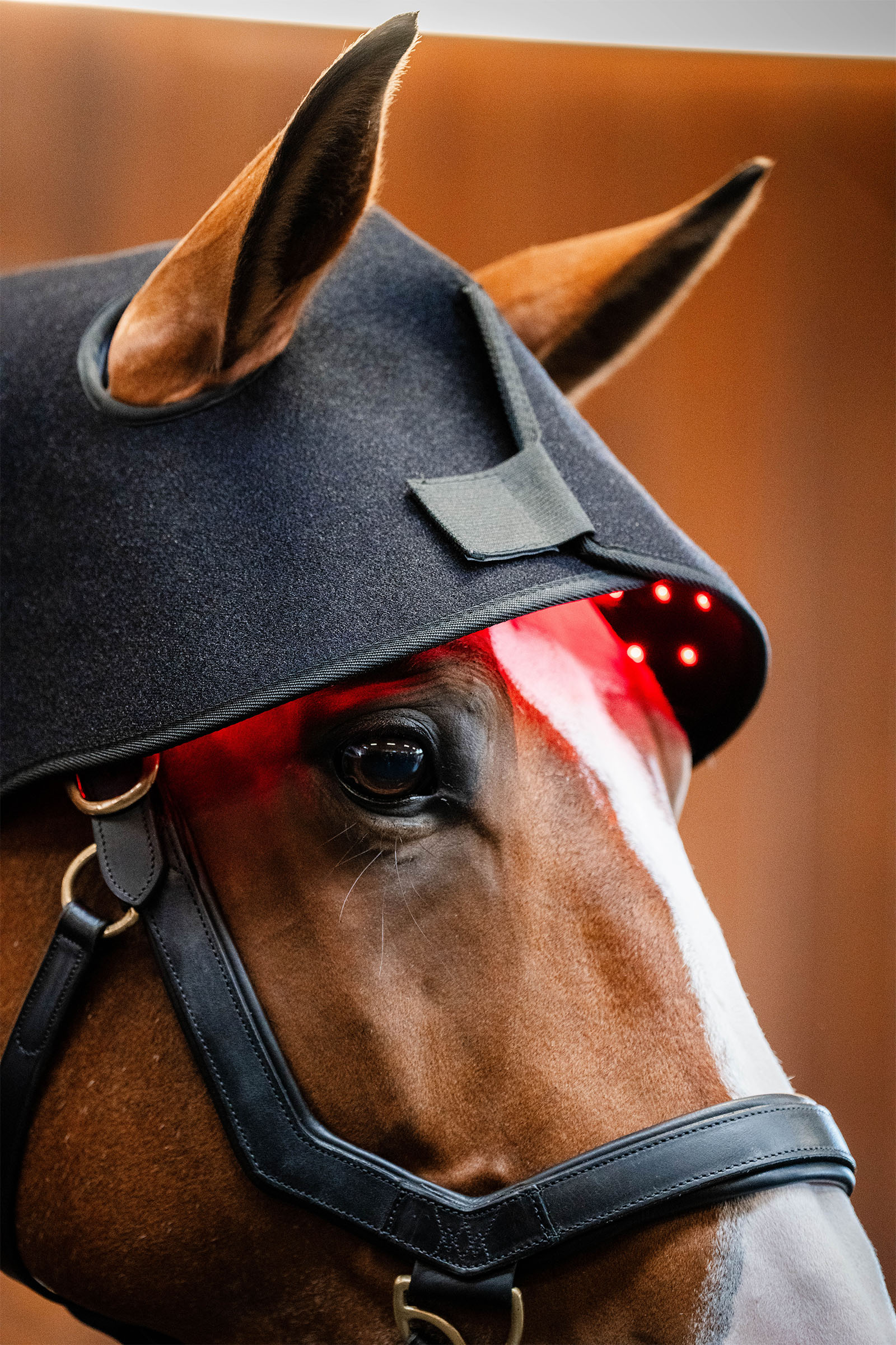 Horseware LED Rotlicht-Therapie Genickhaube