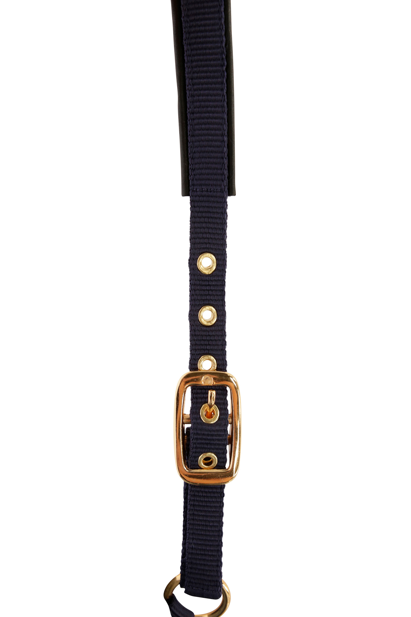 Covalliero TopLine Fohlenhalfter