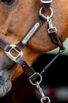 Horseware Signature Lederhalfter