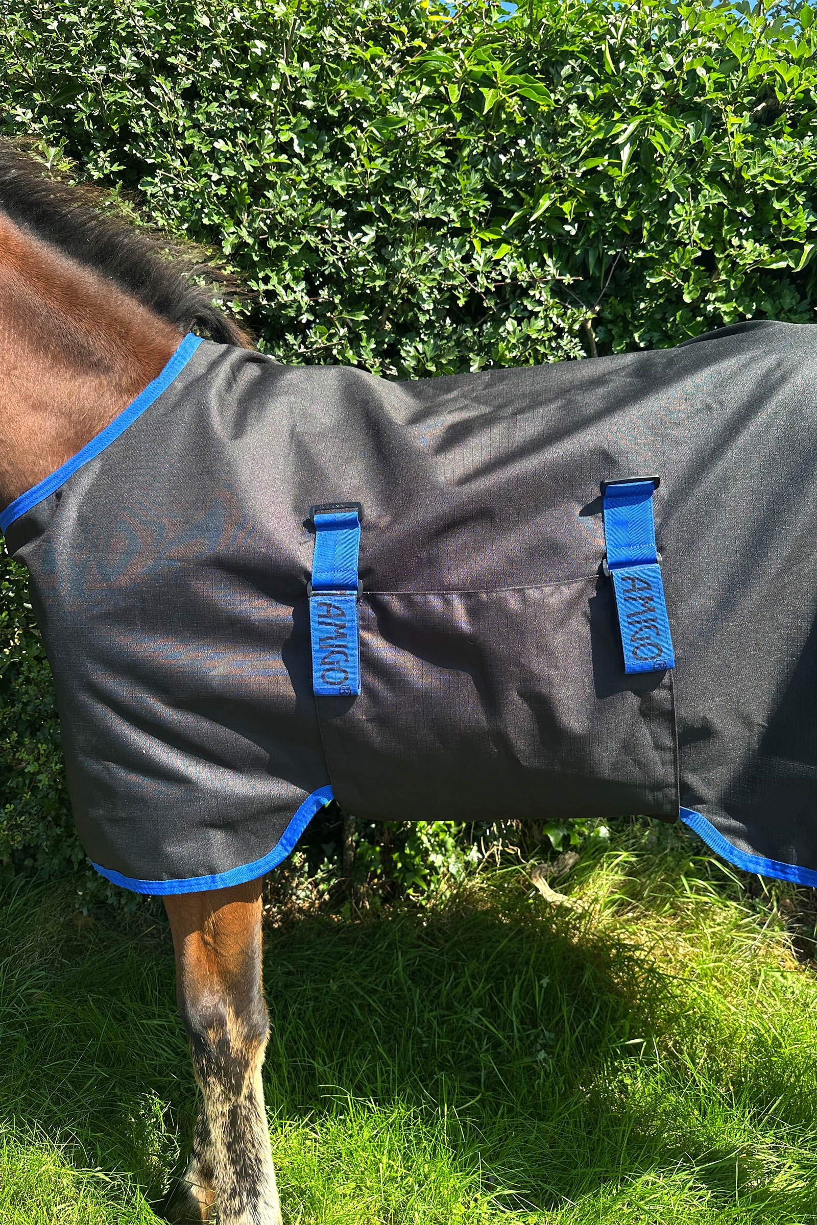 Horseware Amigo Ripstop 900D Weidedecke f&uuml;r Fohlen 200g