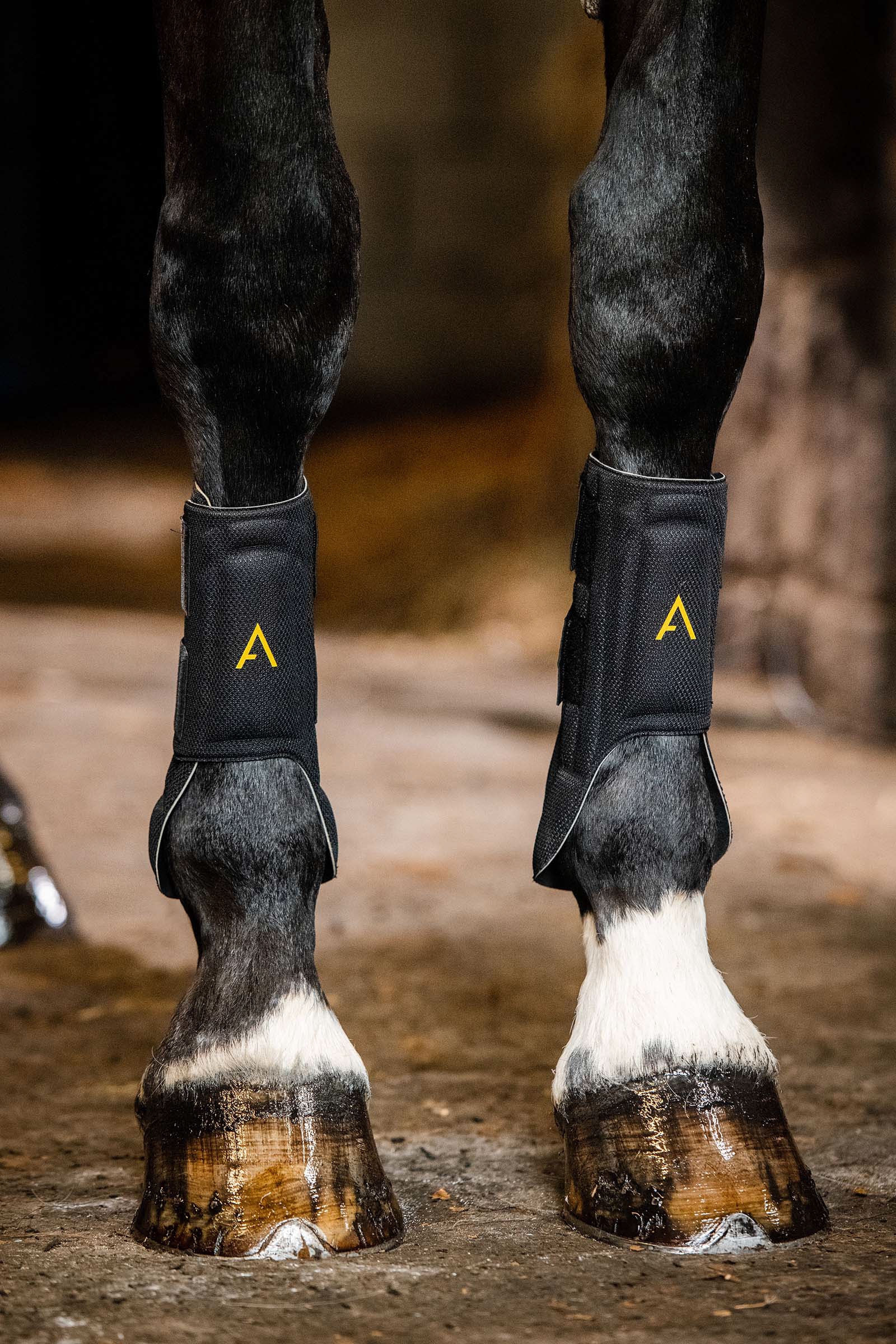 Horseware Adagio Gamaschen