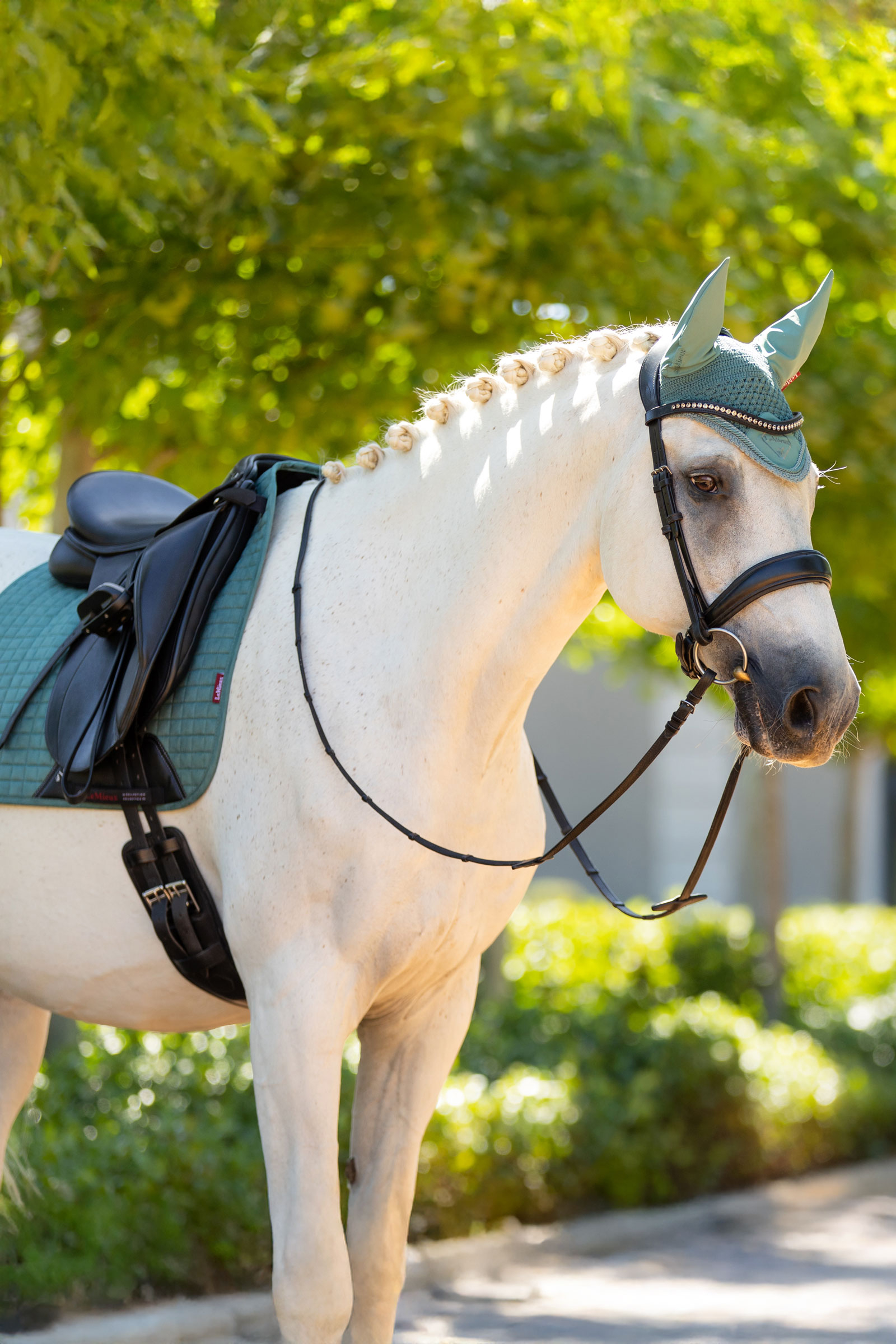 LeMieux Suede Dressurschabracke