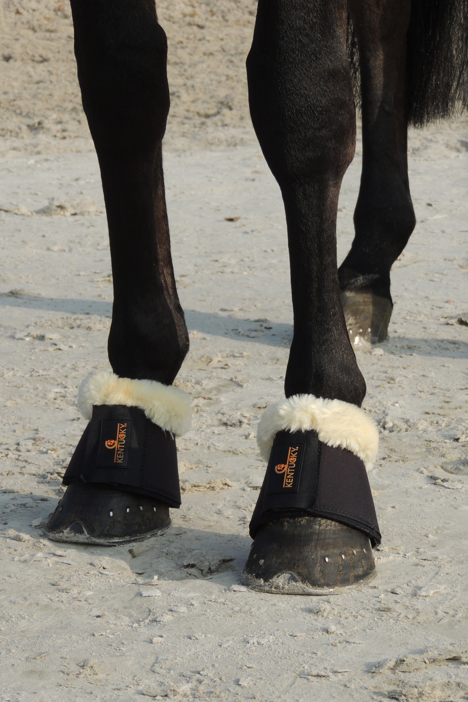 Kentucky Horsewear Lammfell Hufglocken