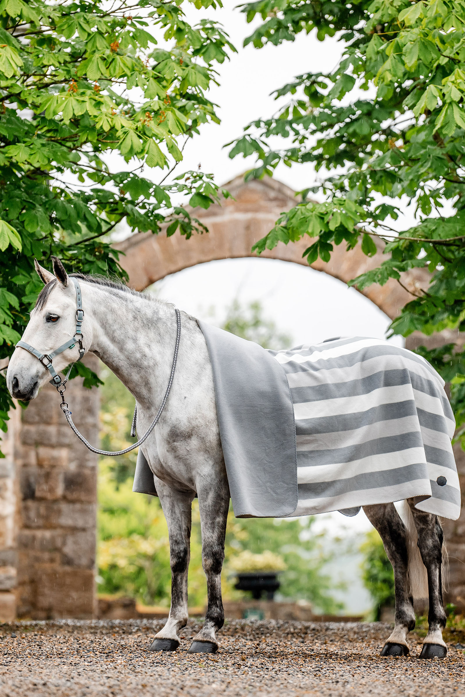 Witney Charcoal Horseware Newmarket Fleece Abschwitzdecke (Square)