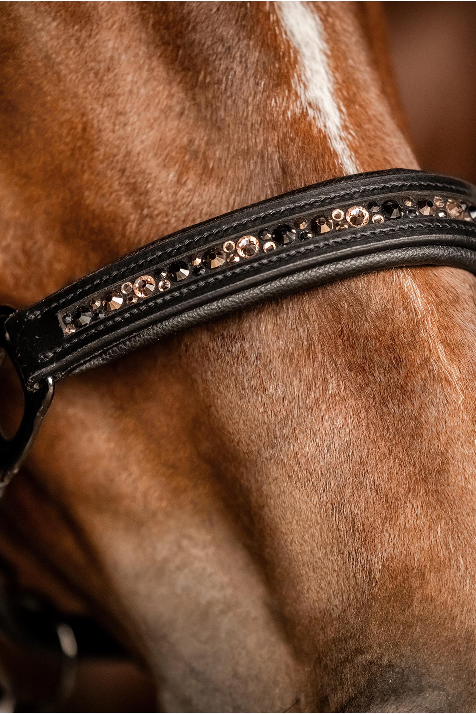 Waldhausen X-Line Crystal Lederhalfter