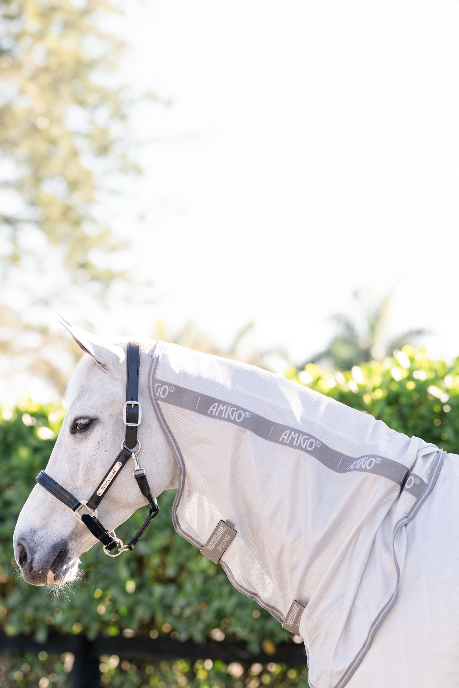 Horseware Amigo Integrierte Fliegendecke