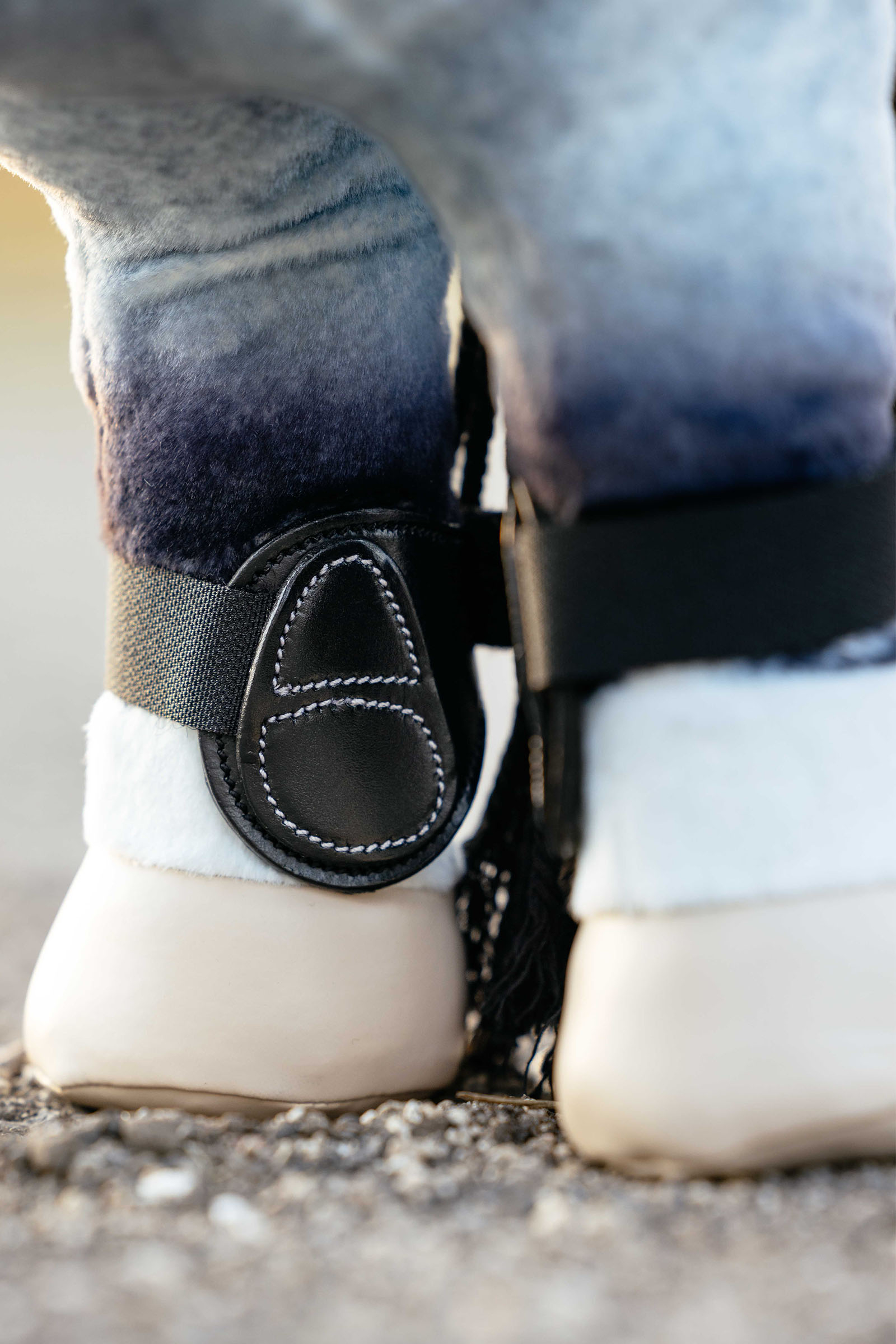 LeMieux Capella Gamaschen für Spielzeugpony