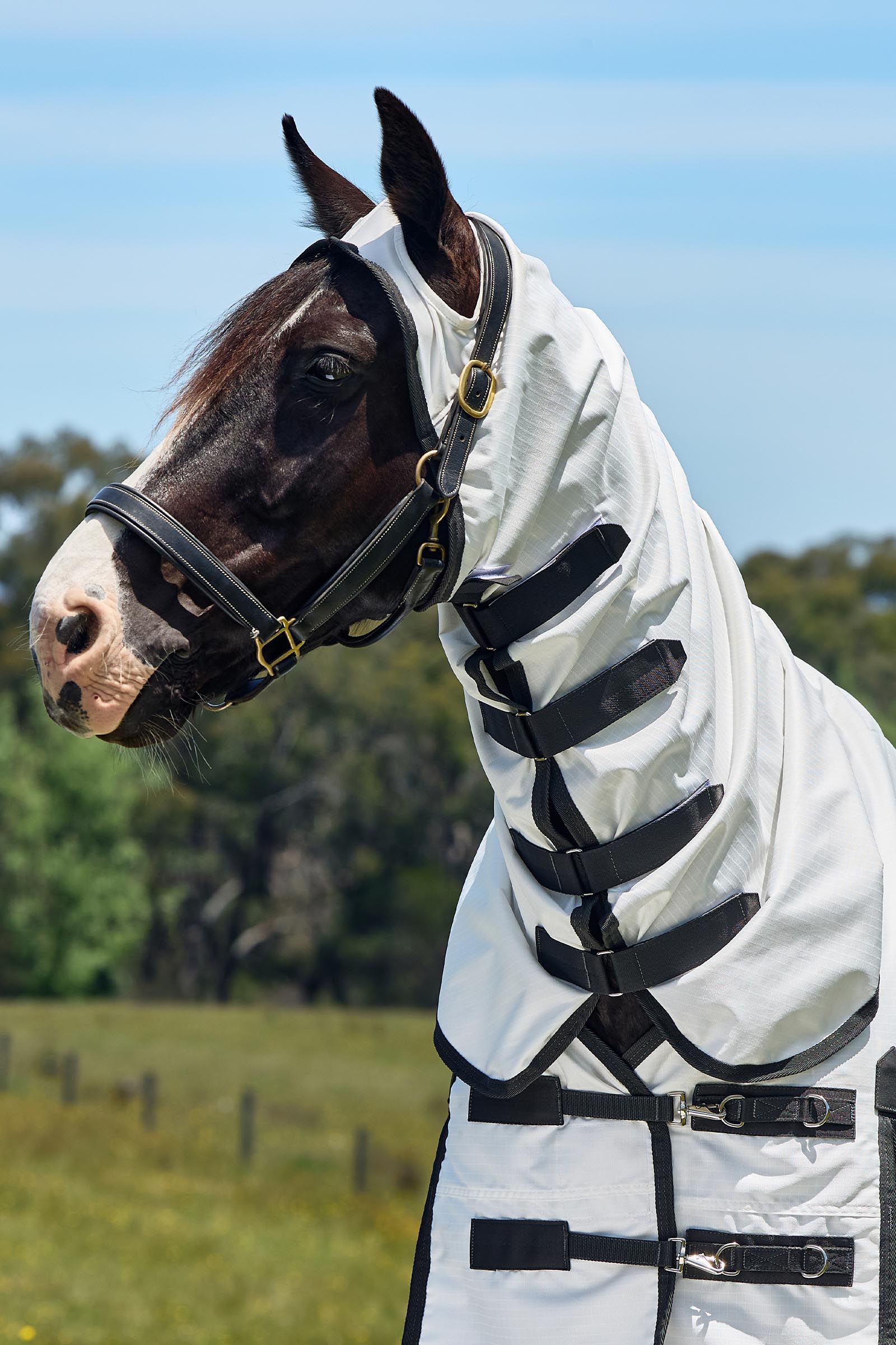 Weatherbeeta ComFiTec Sweet Itch Shield Fliegendecke Kombi mit festem Hals, 0 g  