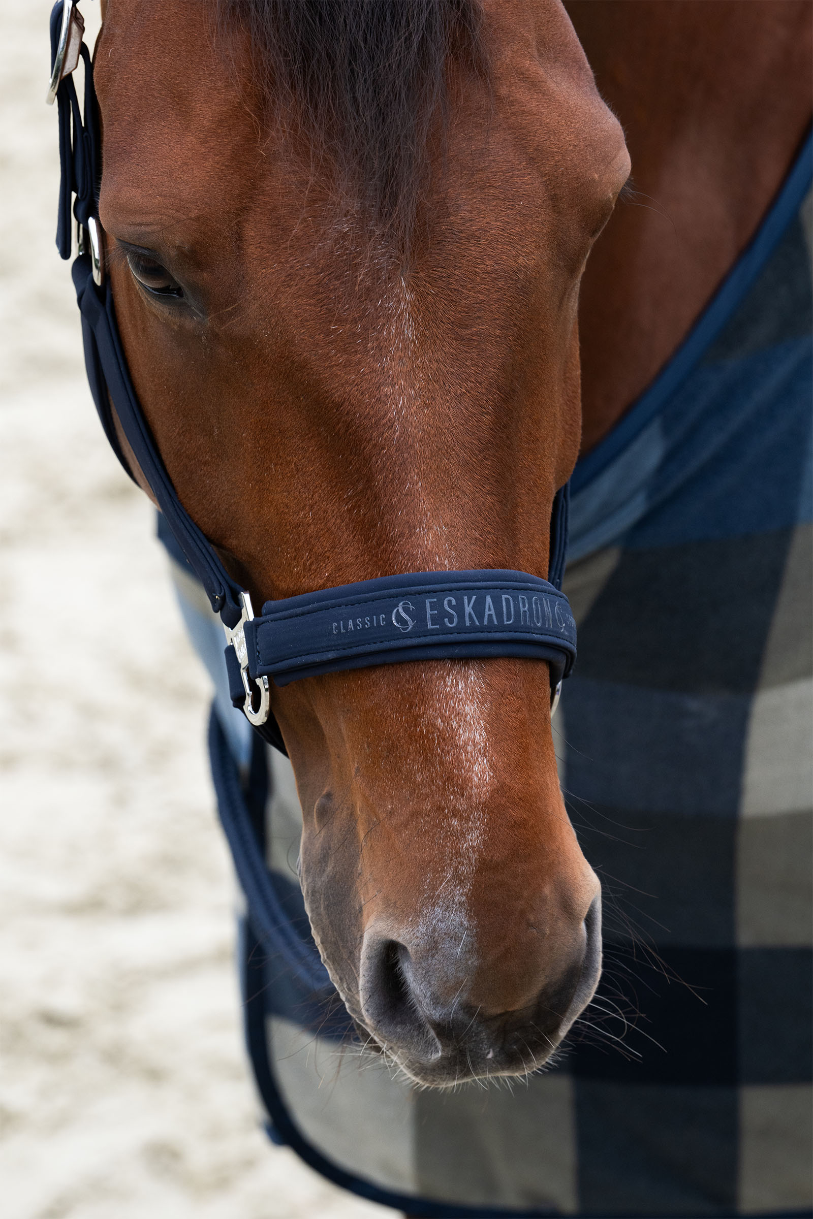 Eskadron Classic Sports SS25 Softshell Double Pin Halfter