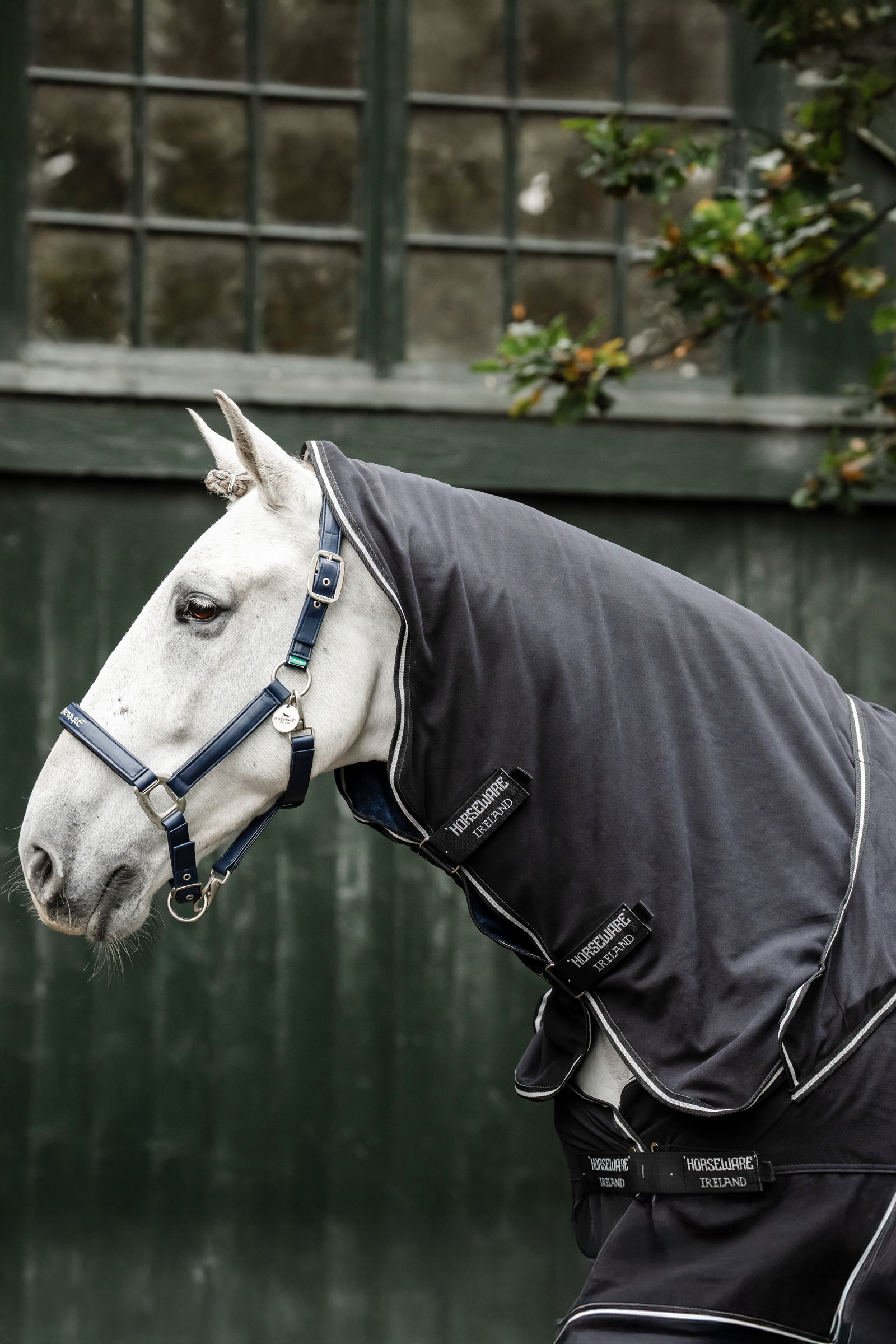 Horseware Show Ready Decke