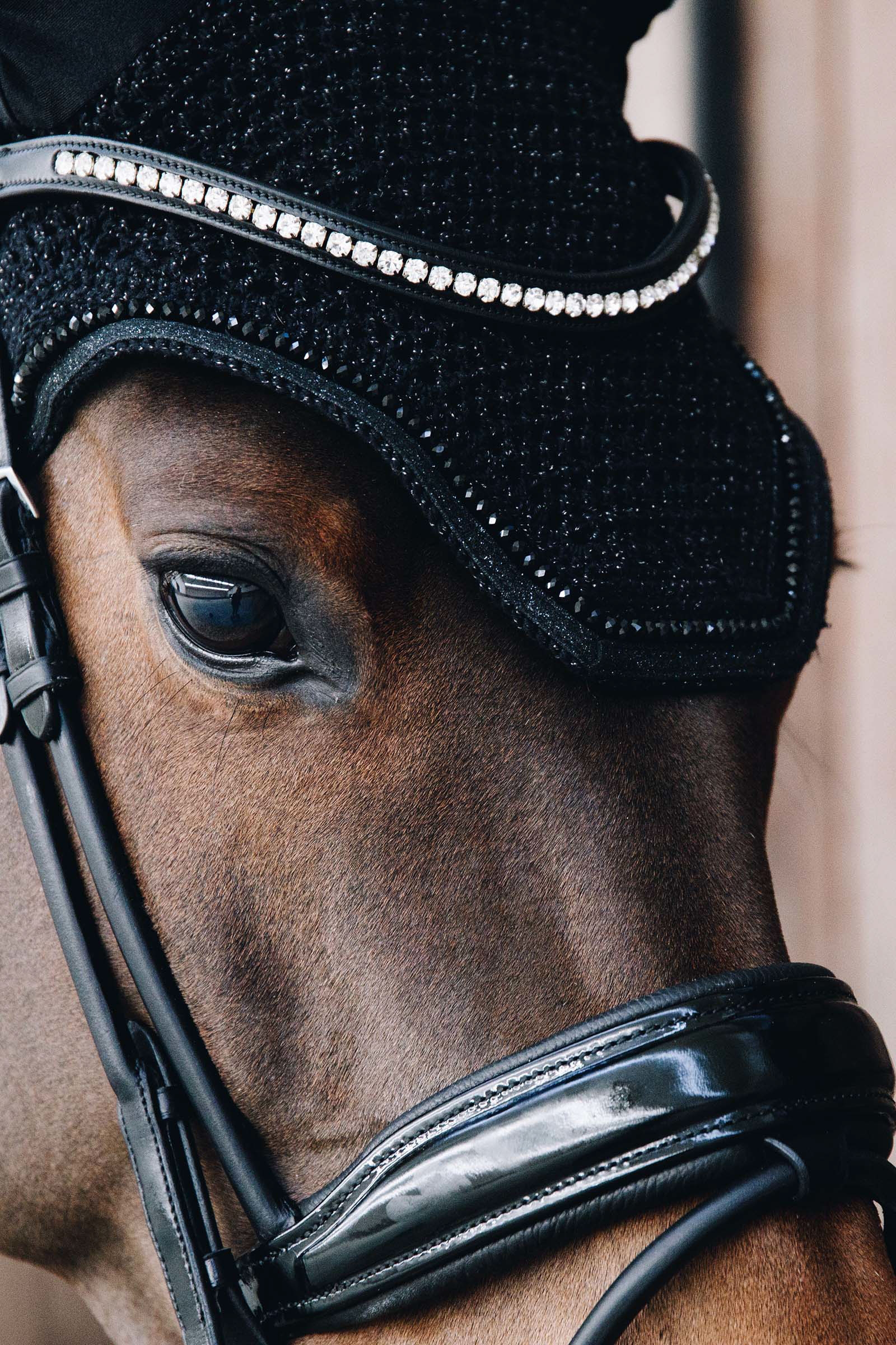 Kentucky Horsewear Wellington Glitter Fliegenhaube