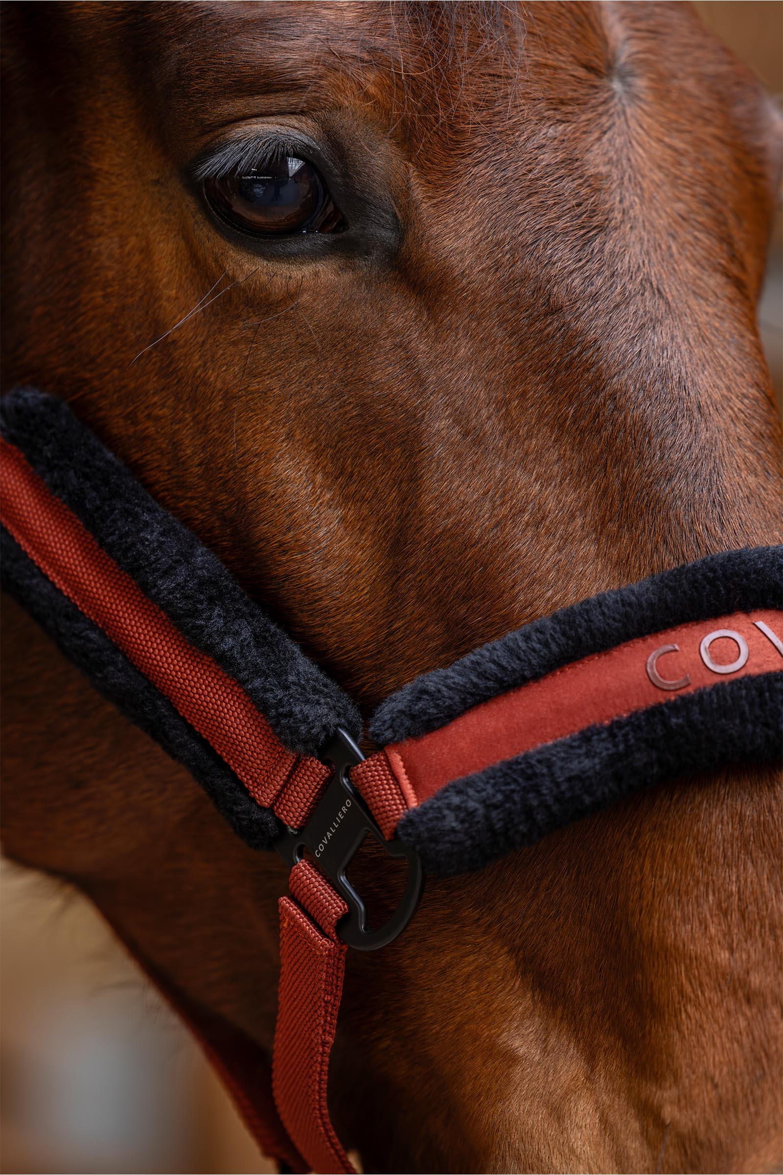 Covalliero Gepolstertes Halfter