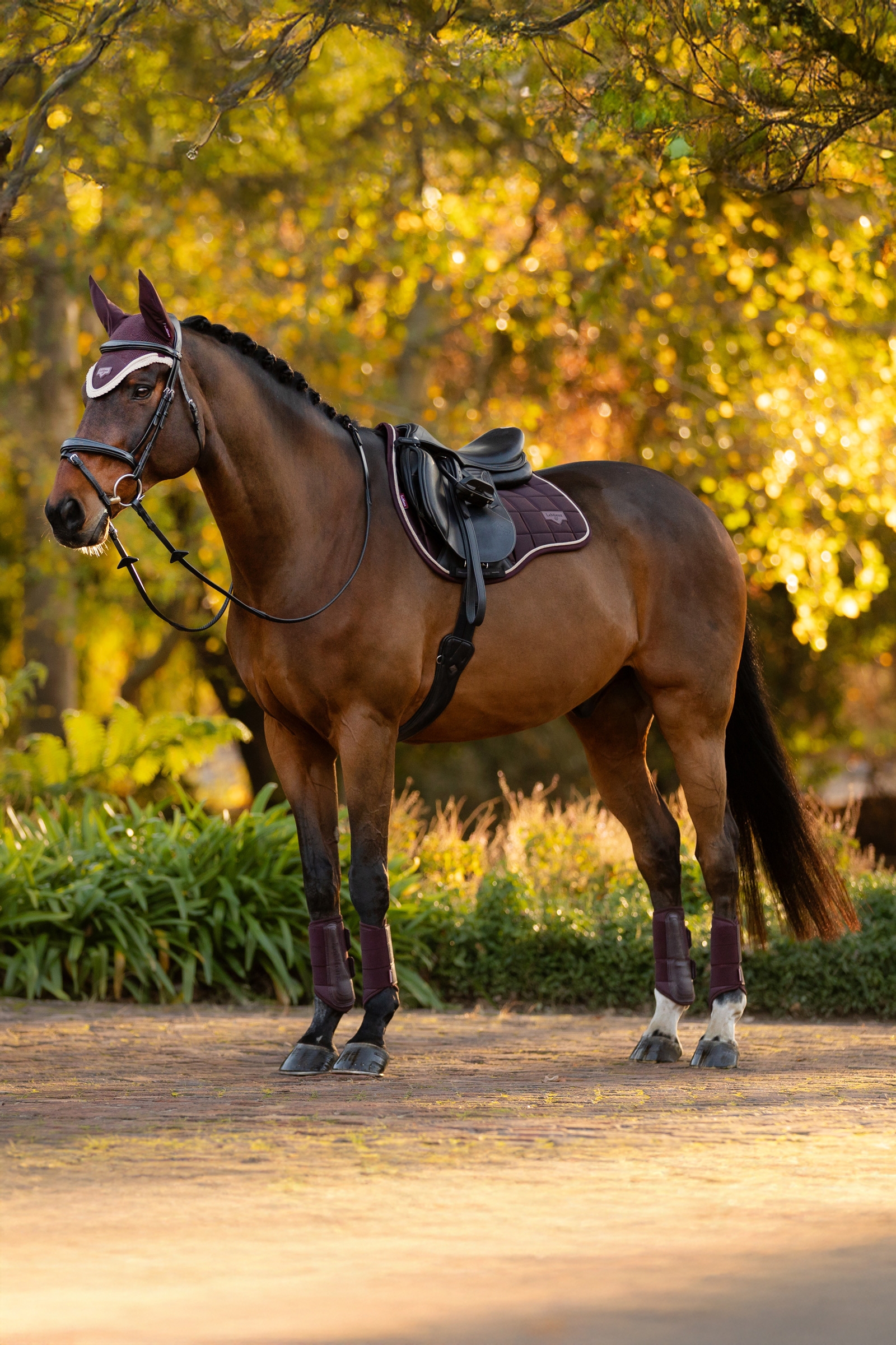 LeMieux Loire Klassische Quadratische Allzweck Schabracke