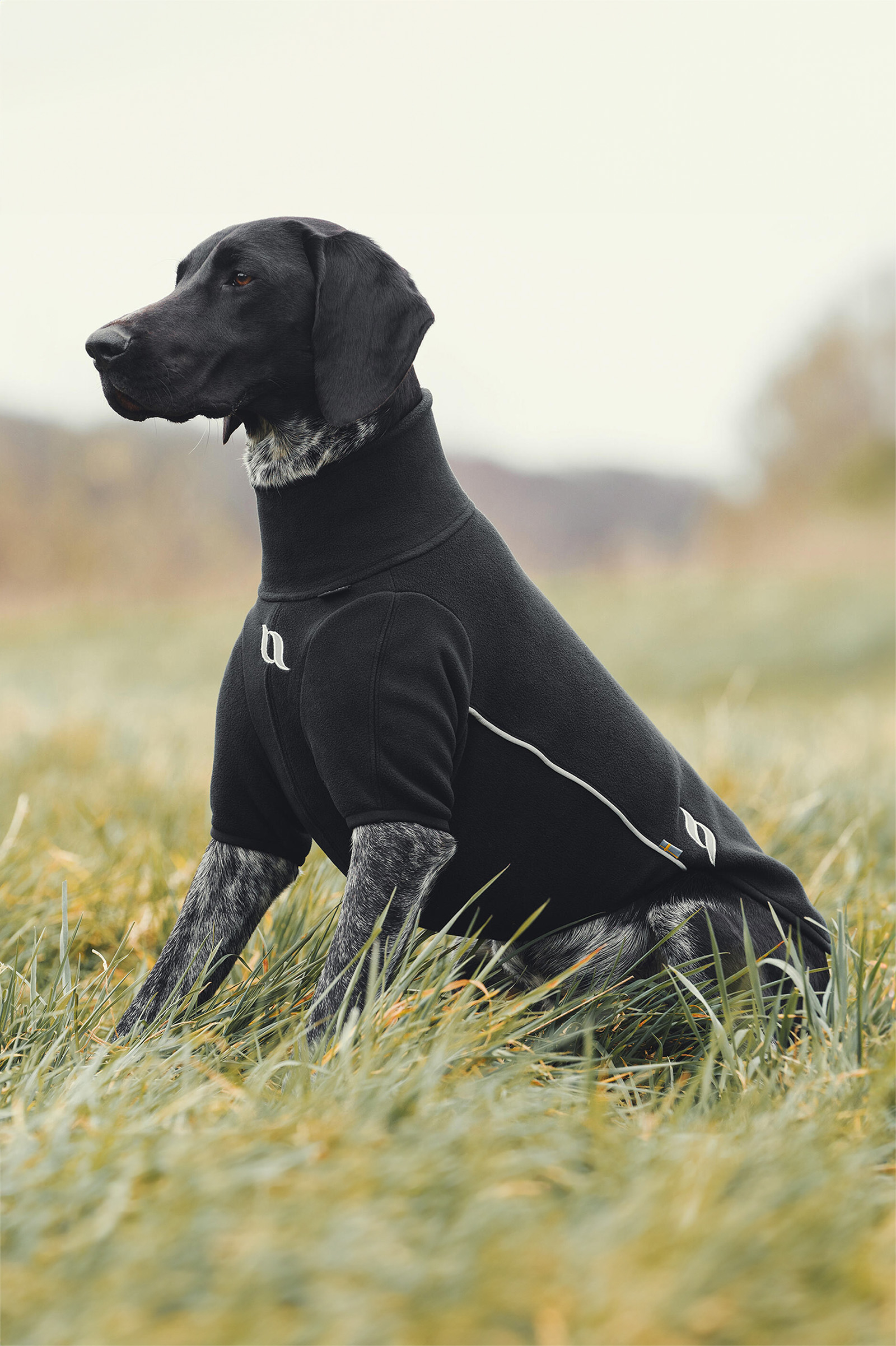 Back on Track Cassie All-Wetter-Pullover, 65-70cm