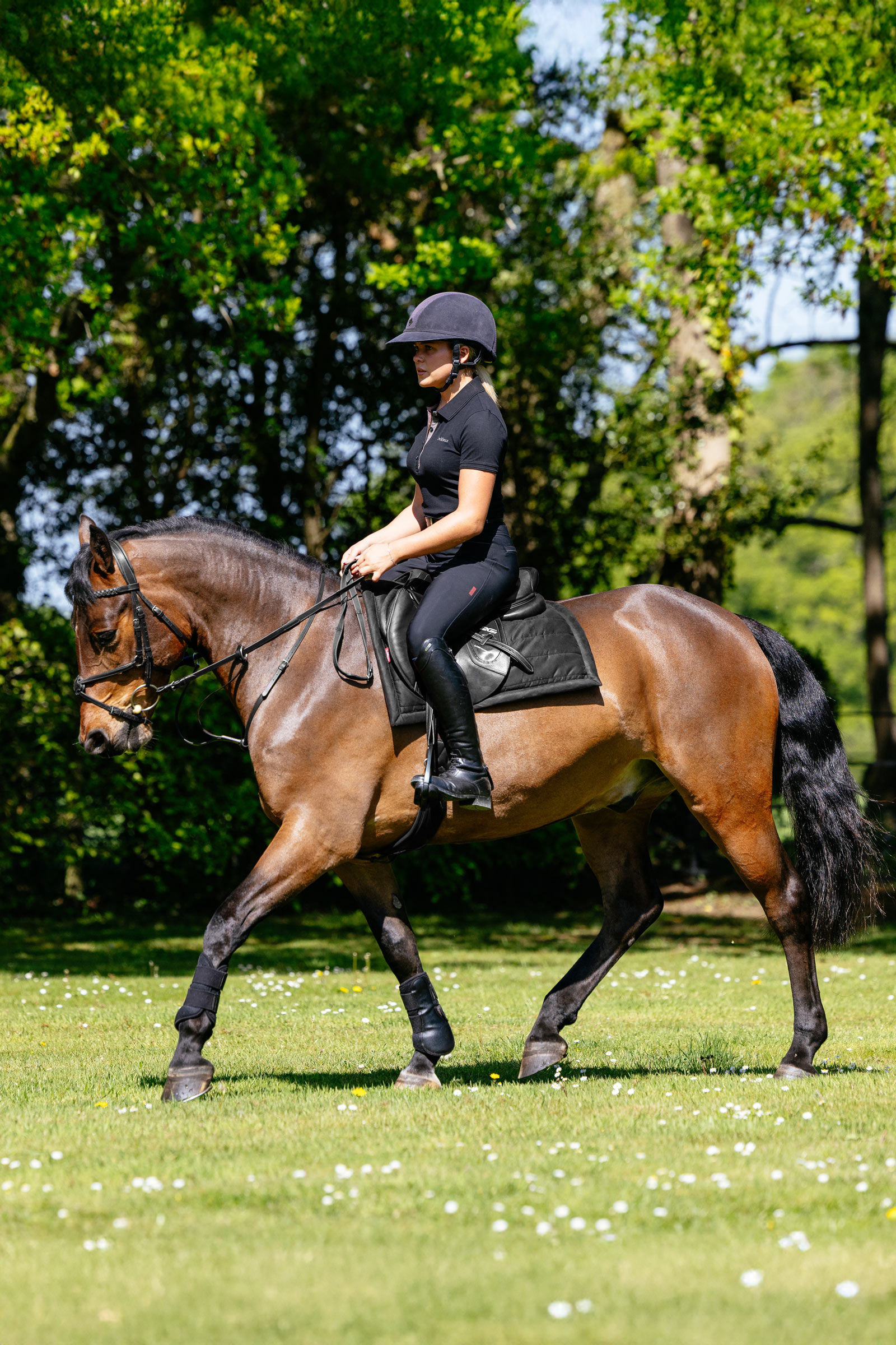 LeMieux Pillow gepolsterte Vielseitigkeitsschabracke