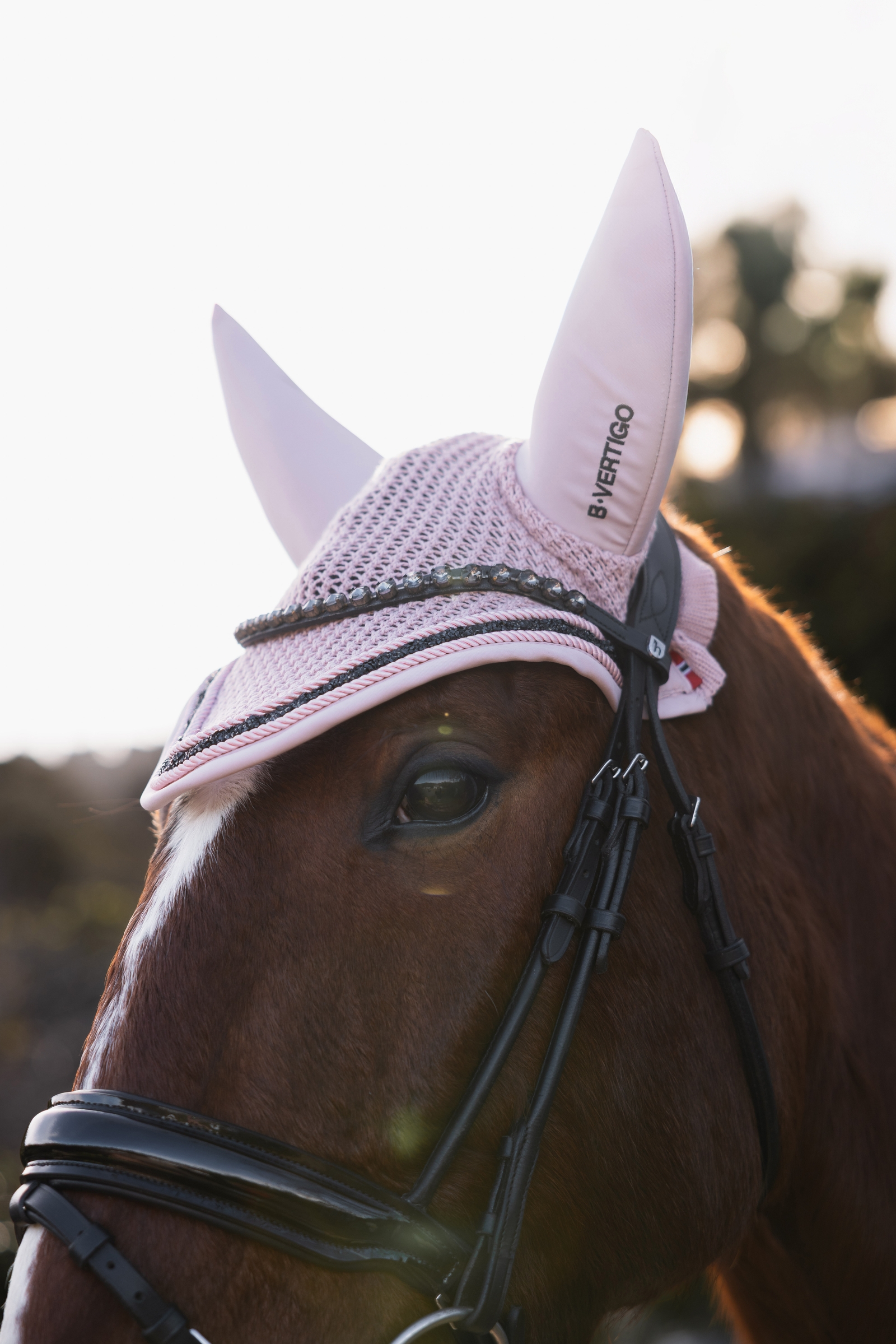 B Vertigo Daylight Fliegenohren  