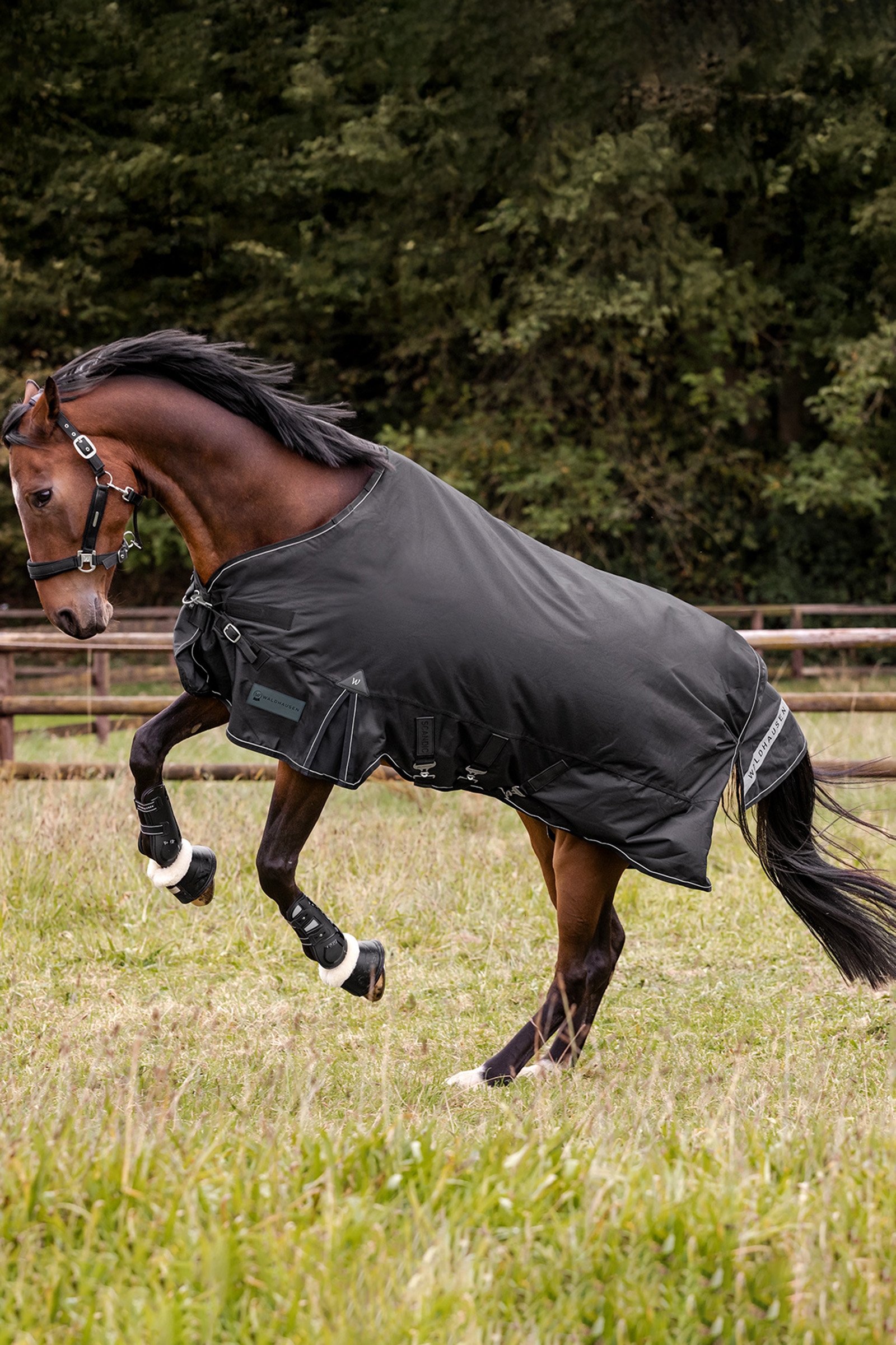 Waldhausen Outdoor Rug Scandic 300 g