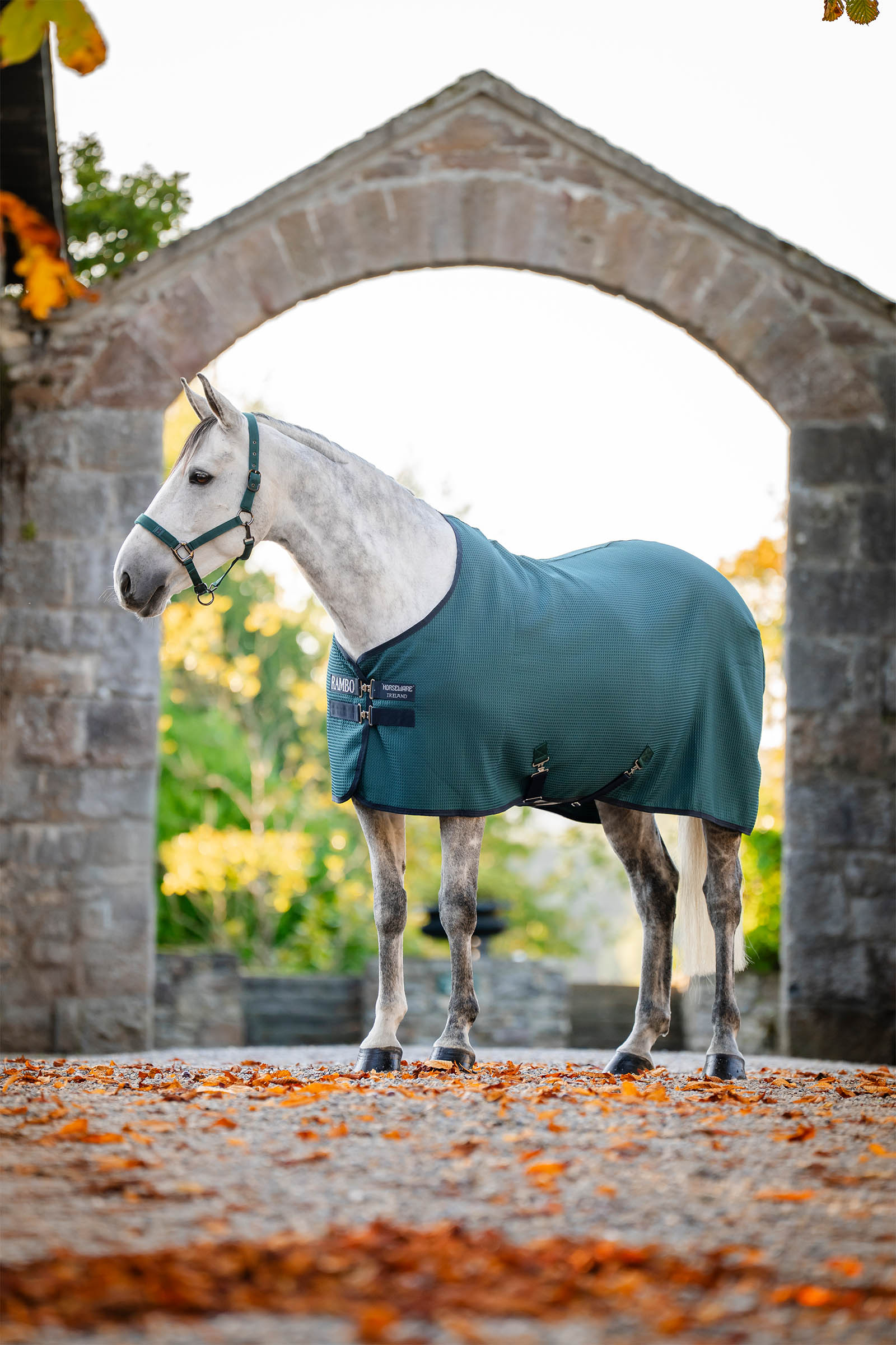 Horseware Rambo Techni Waffle chemise s&eacute;chante