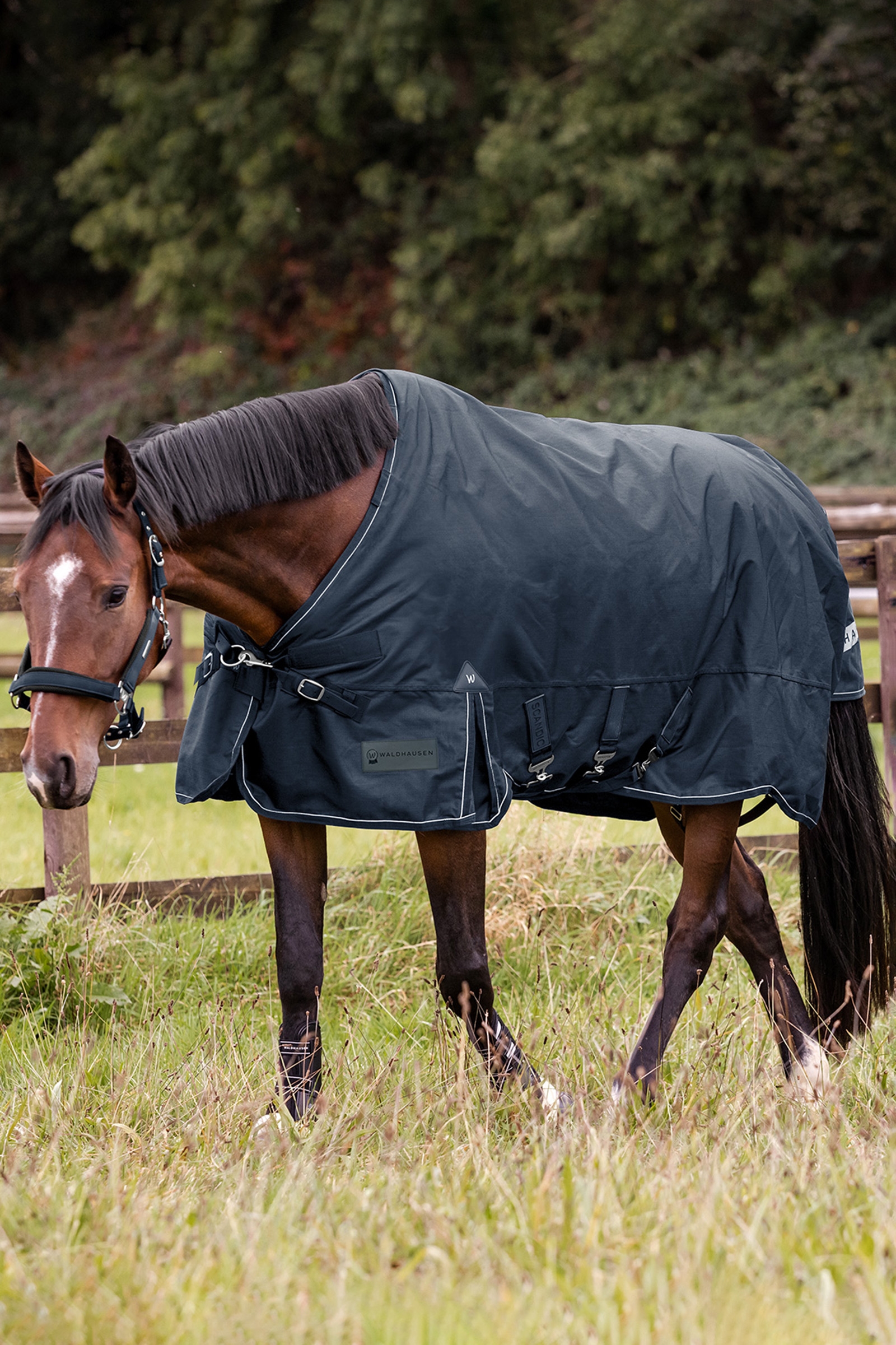 Waldhausen Outdoor Rug Scandic Multi-Layer 250 g/100 g