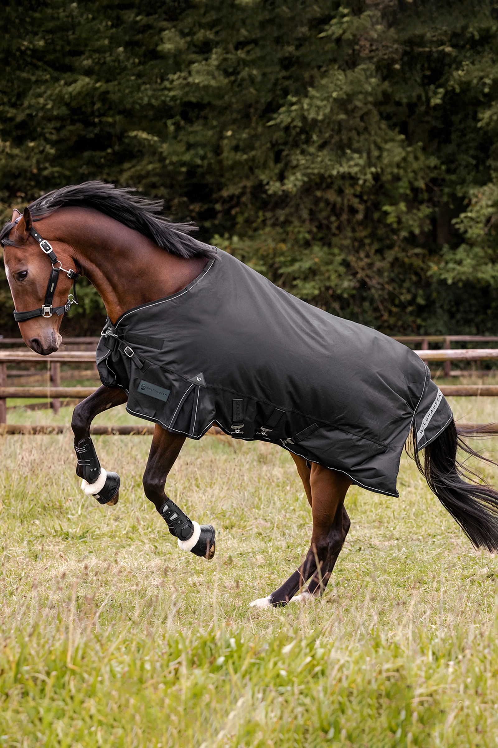 Waldhausen Outdoor Rug Scandic 50g