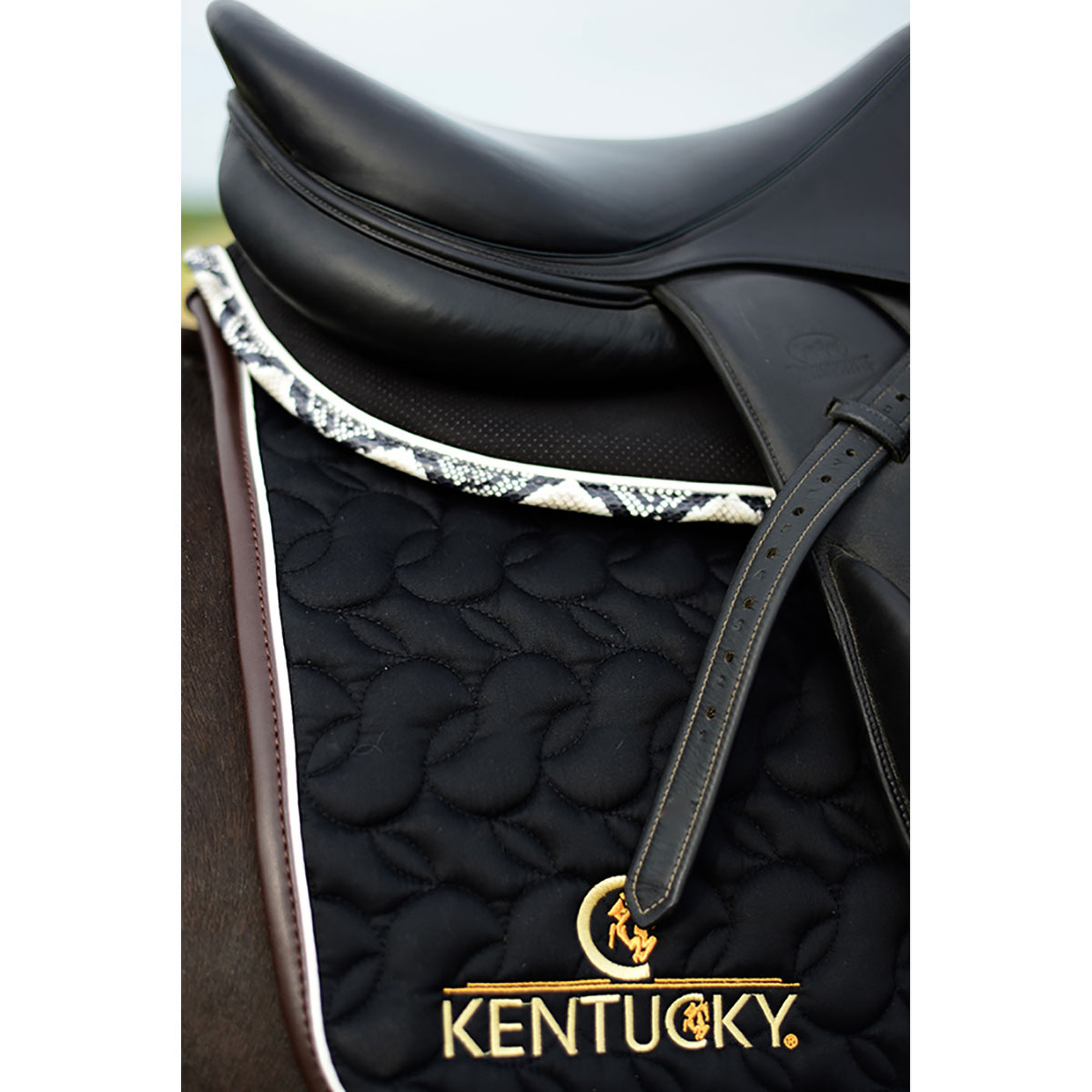 Kentucky Horsewear Schabracke Absorb