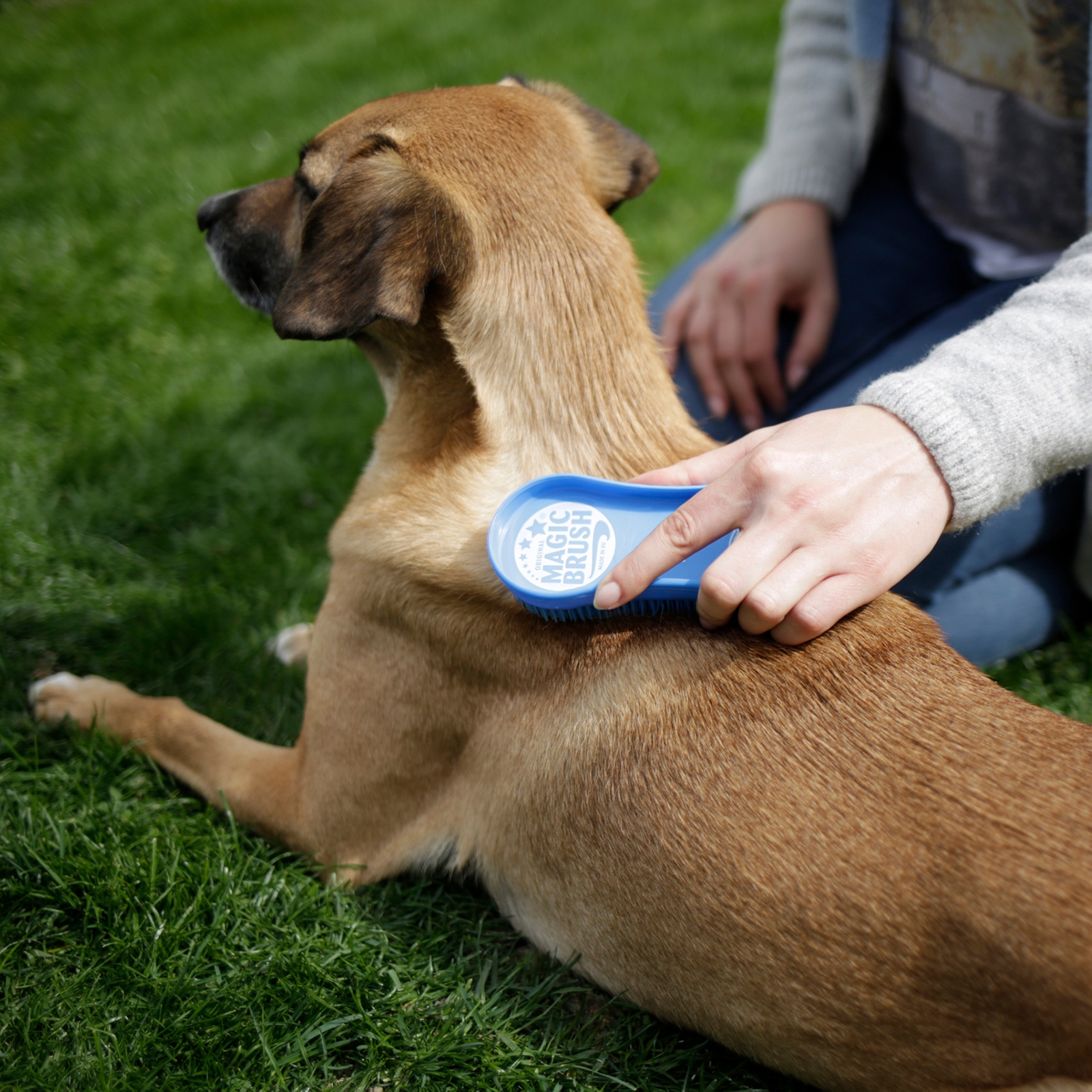 Kerbl Hundebürste MagicBrush DOG Blue Sky