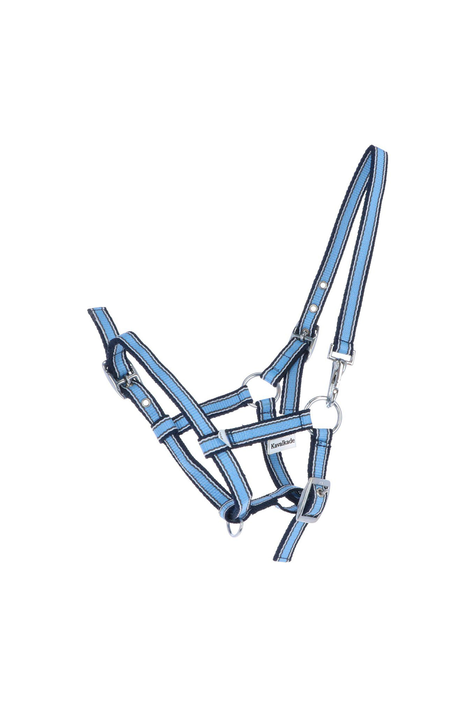 Blue Kavalkade Fohlen- & Jährlingshalfter