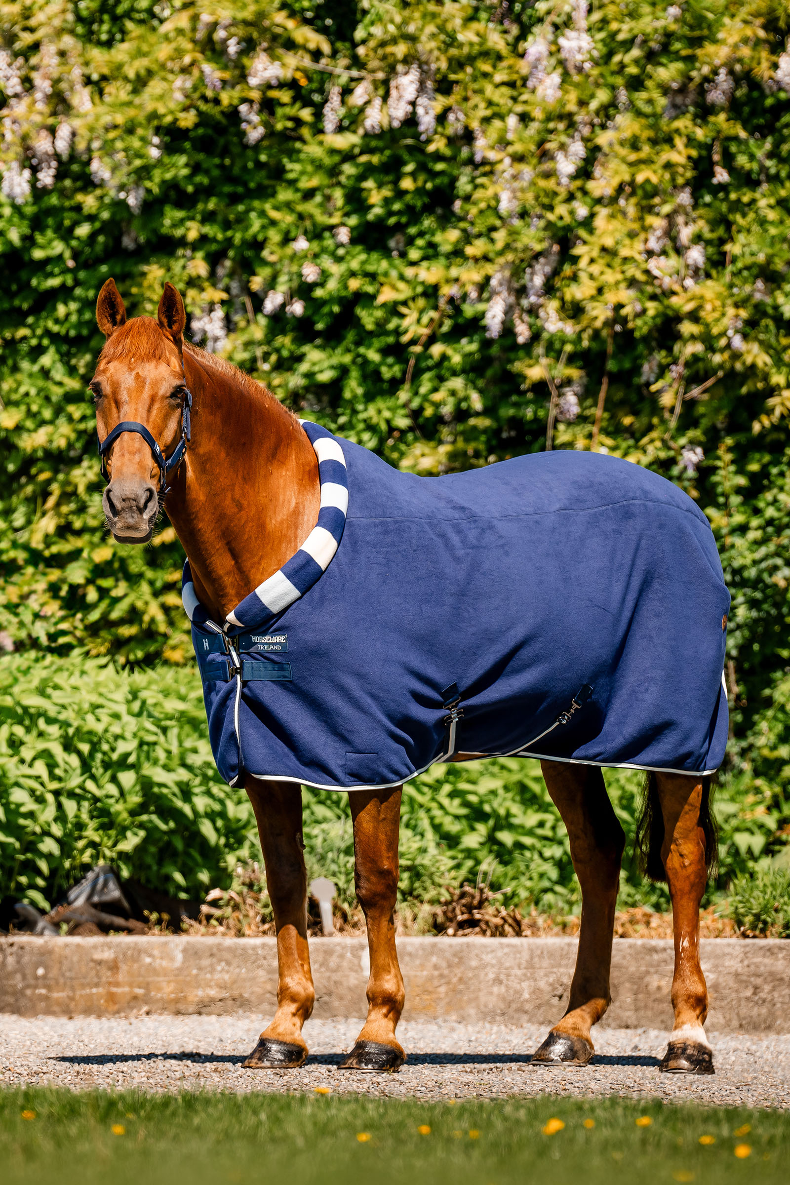 Horseware Newmarket Cosy Fleece Abschwitzdecke
