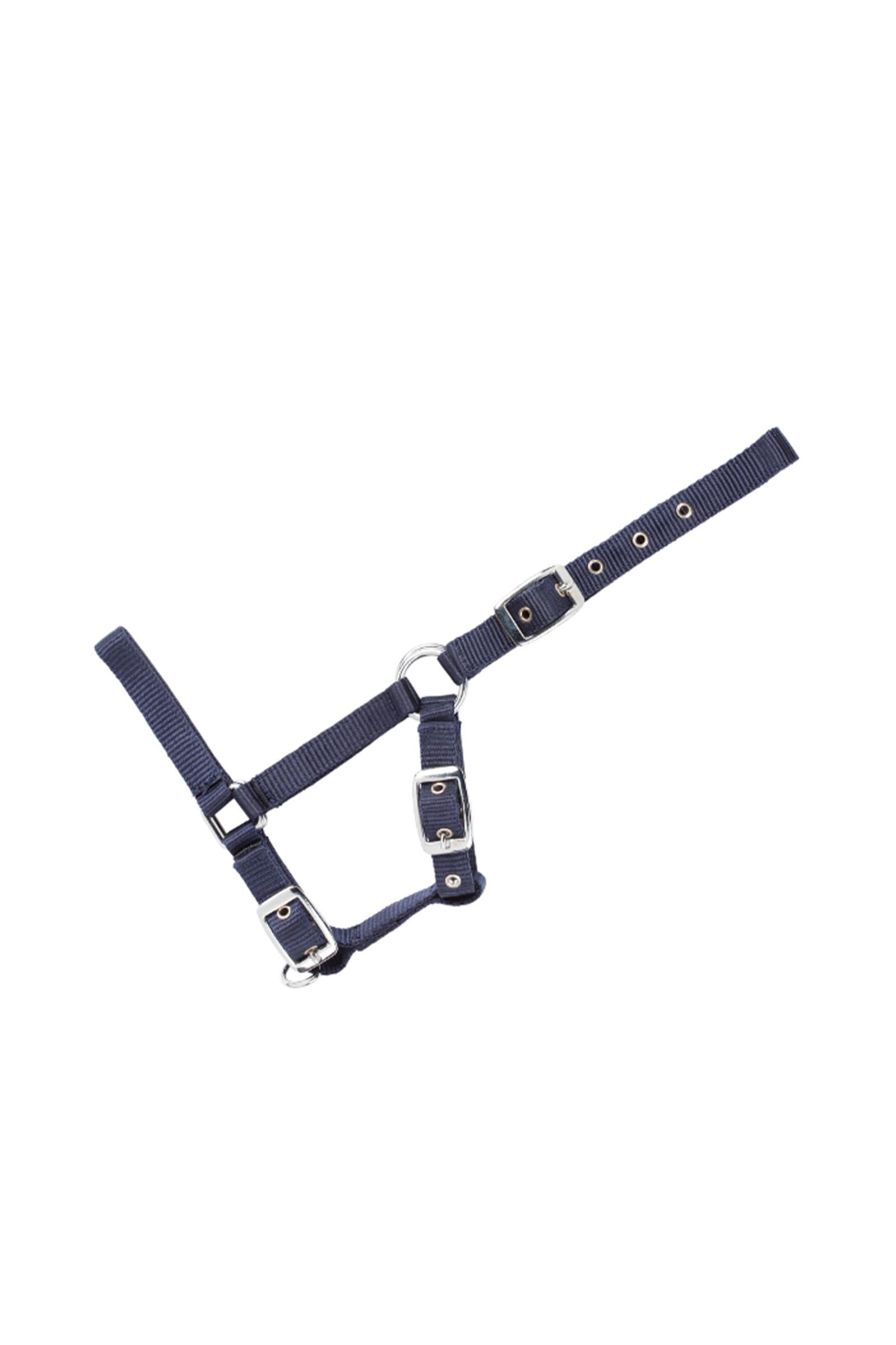 USG Verstellbares Fohlenhalfter