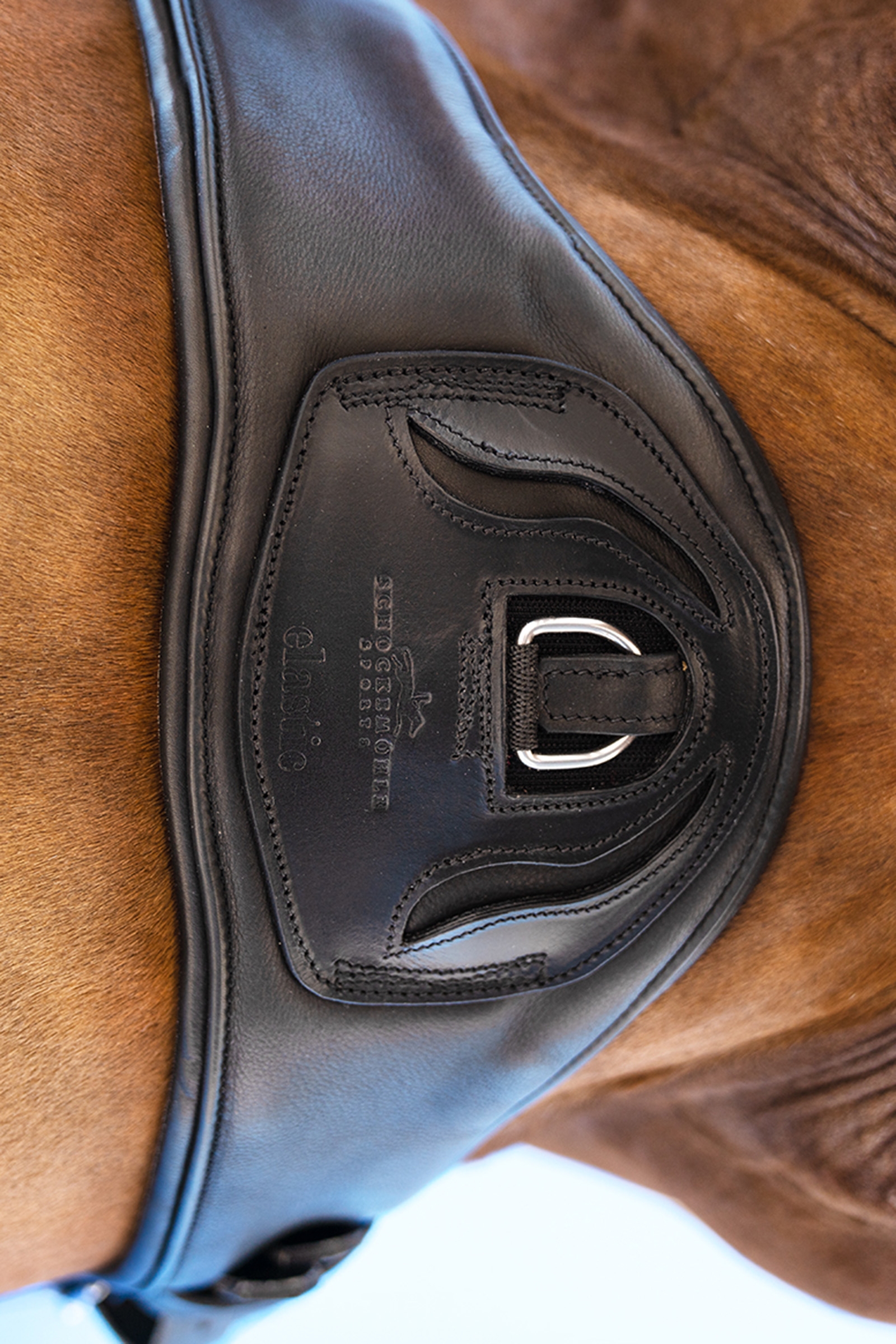 Schockem&ouml;hle Sports Pittsburgh Stretch Kurzgurt