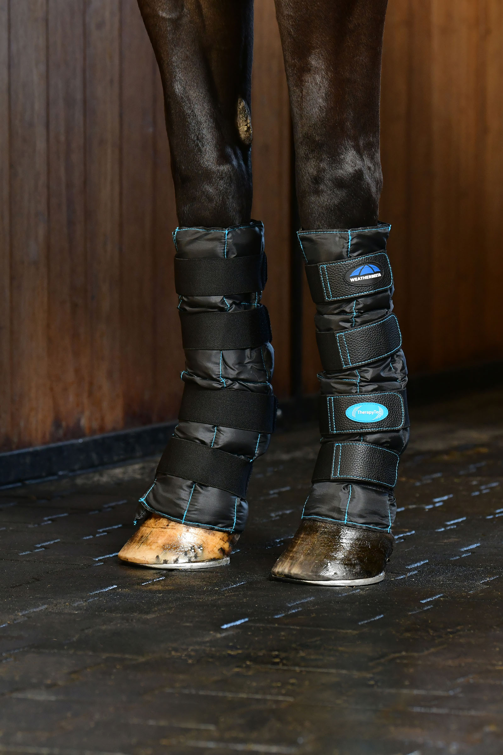 Weatherbeeta Therapy-Tec II Gel Ice Gamaschen