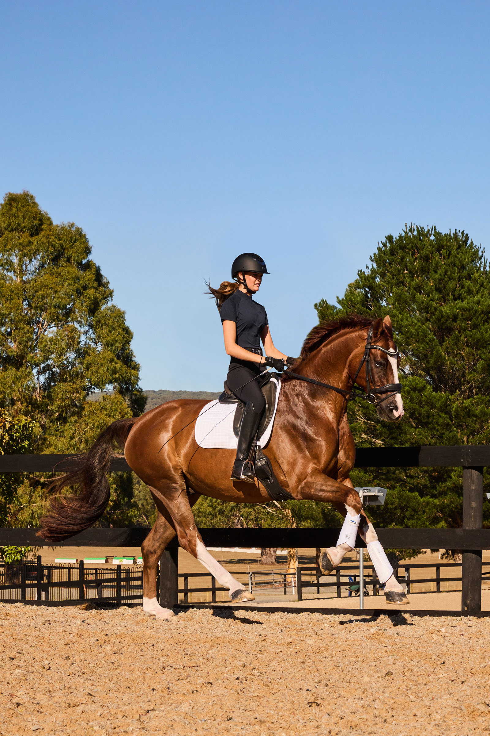 Weatherbeeta Tough-Tec Prime Dressurgamaschen