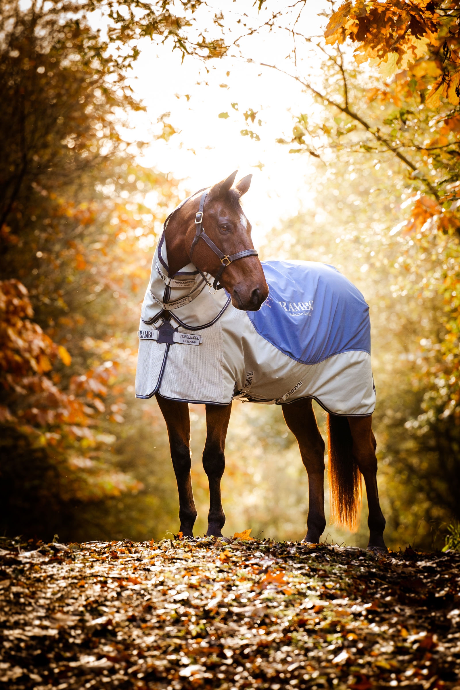 Horseware Rambo Autumn Series Weidedecke mit Unterdecke (0 g / 100 g)