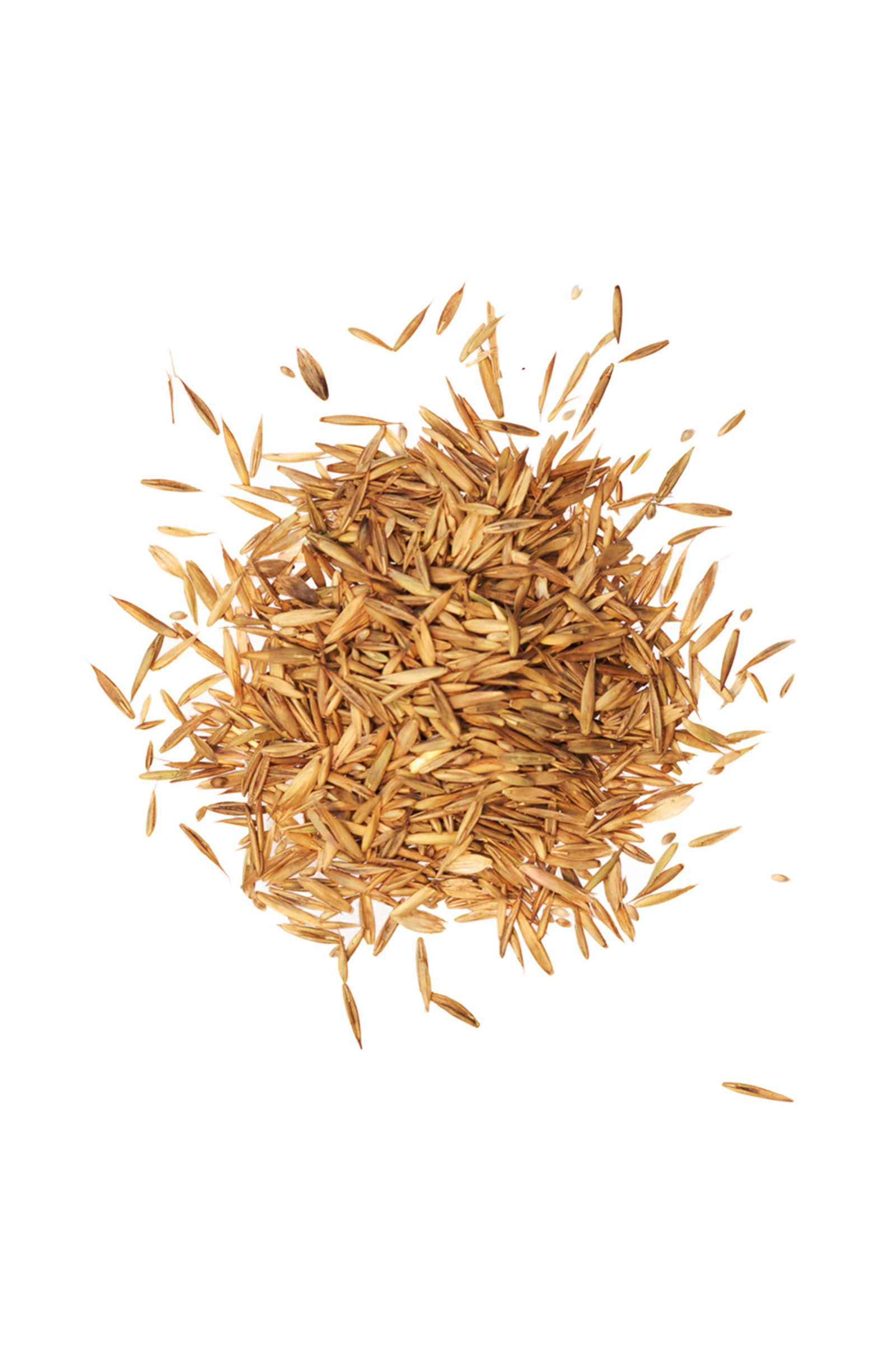 Agrobs Pre Alpin Saatgut 10kg