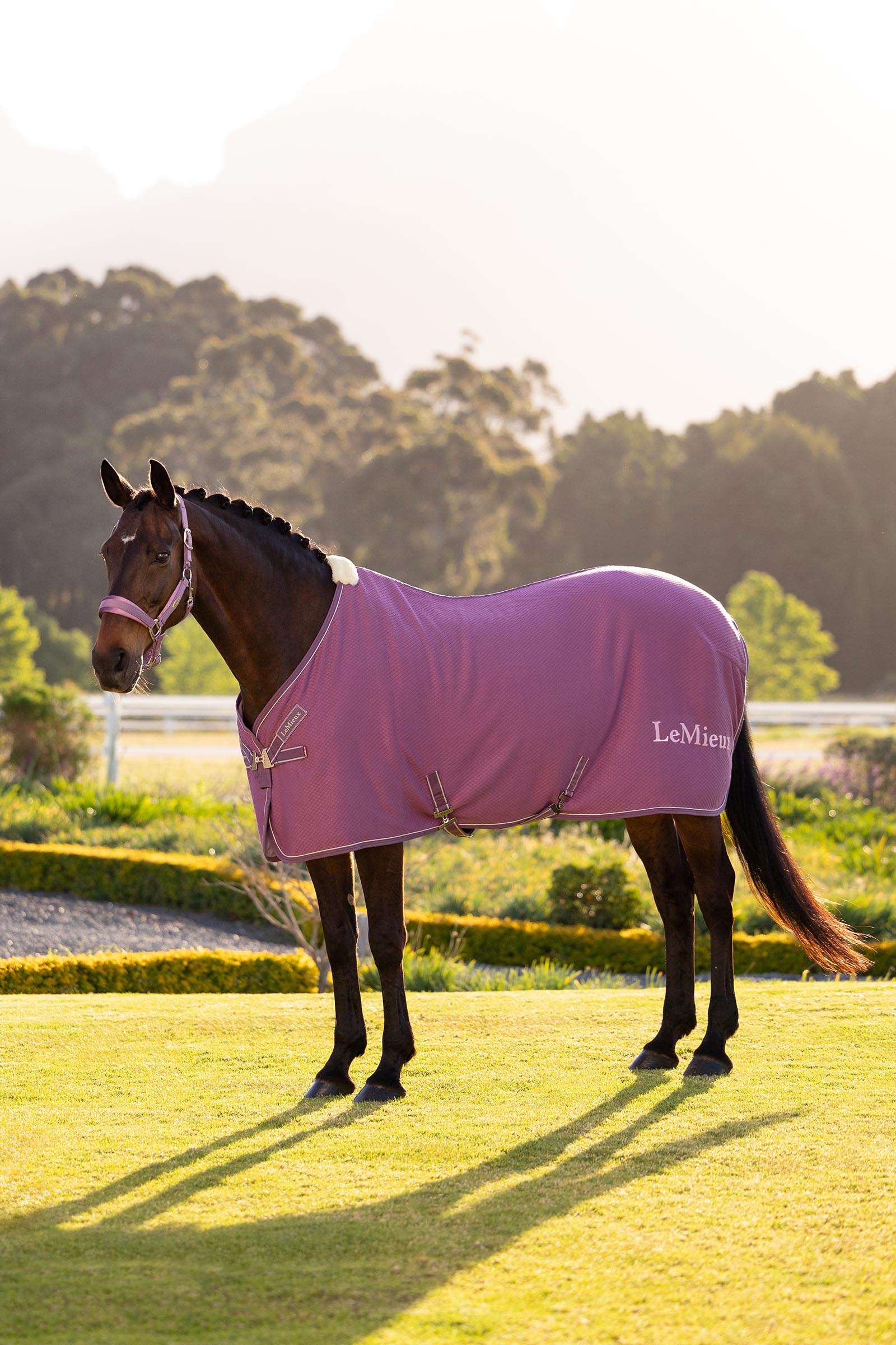 Mallow LeMieux Kudos Bambus Abschwitzdecke