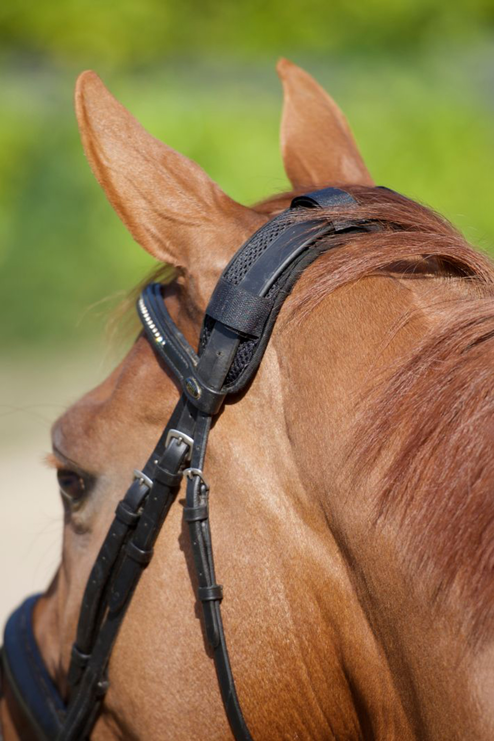 Back on Track Genickschoner