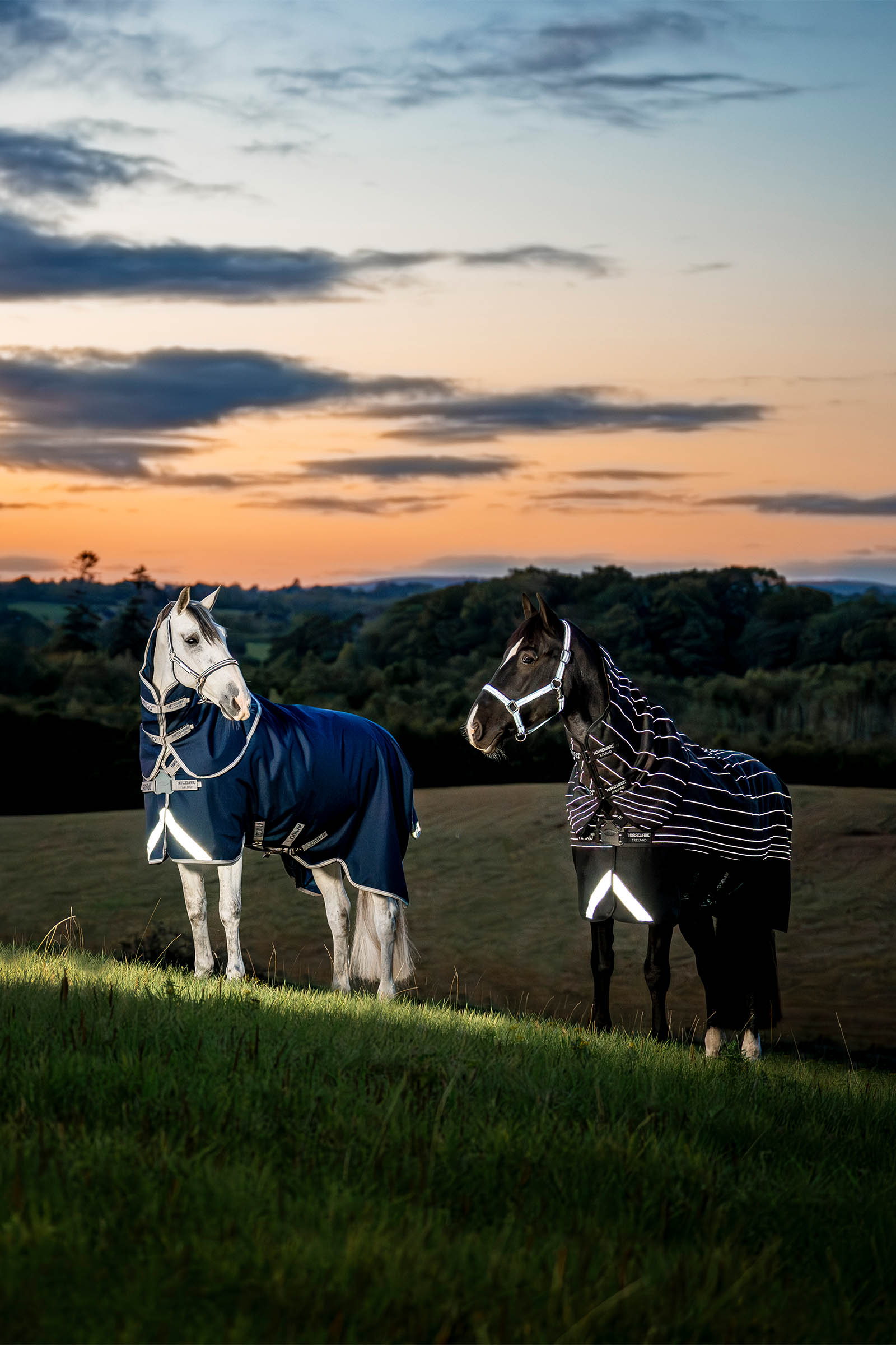 Horseware Amigo 1200D FieldSafe Plus Outdoordecke, 0 g