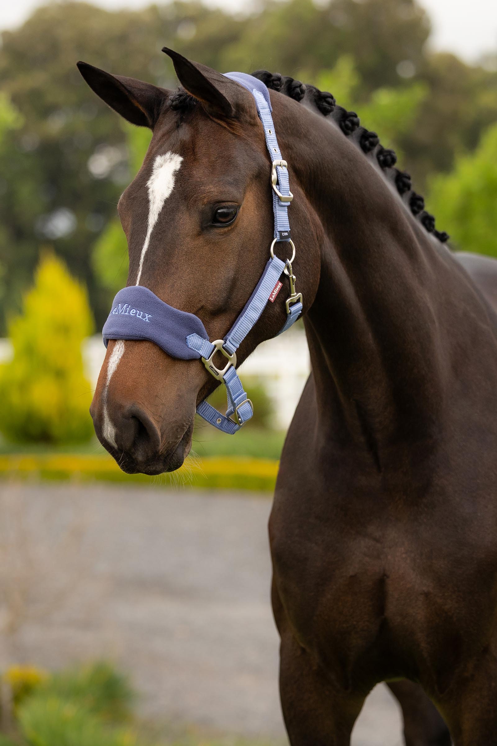 LeMieux Vogue Halfter und F&uuml;hrstrick Set