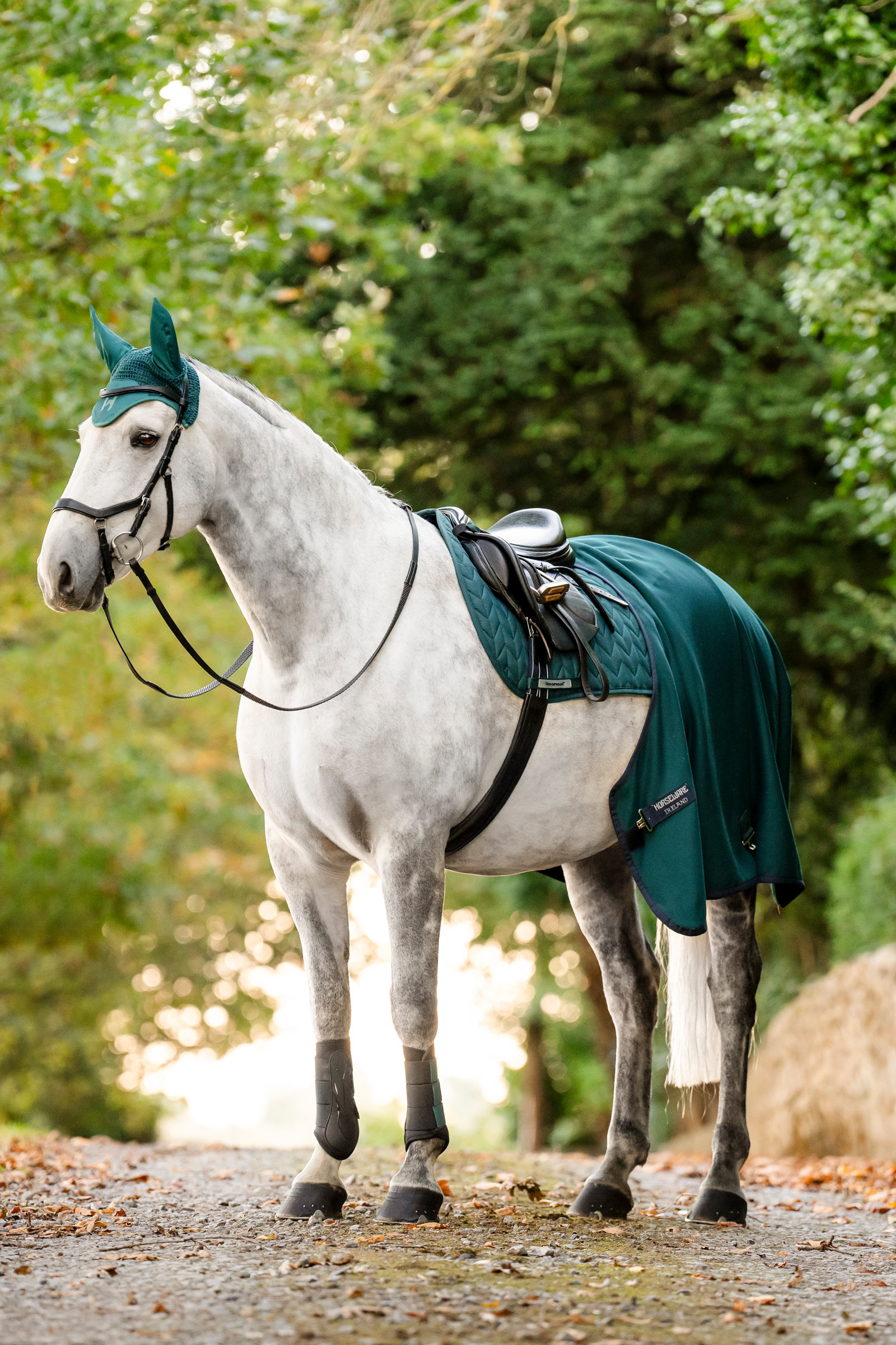 Horseware Amigo Jersey Cooler Abschwitzdecke