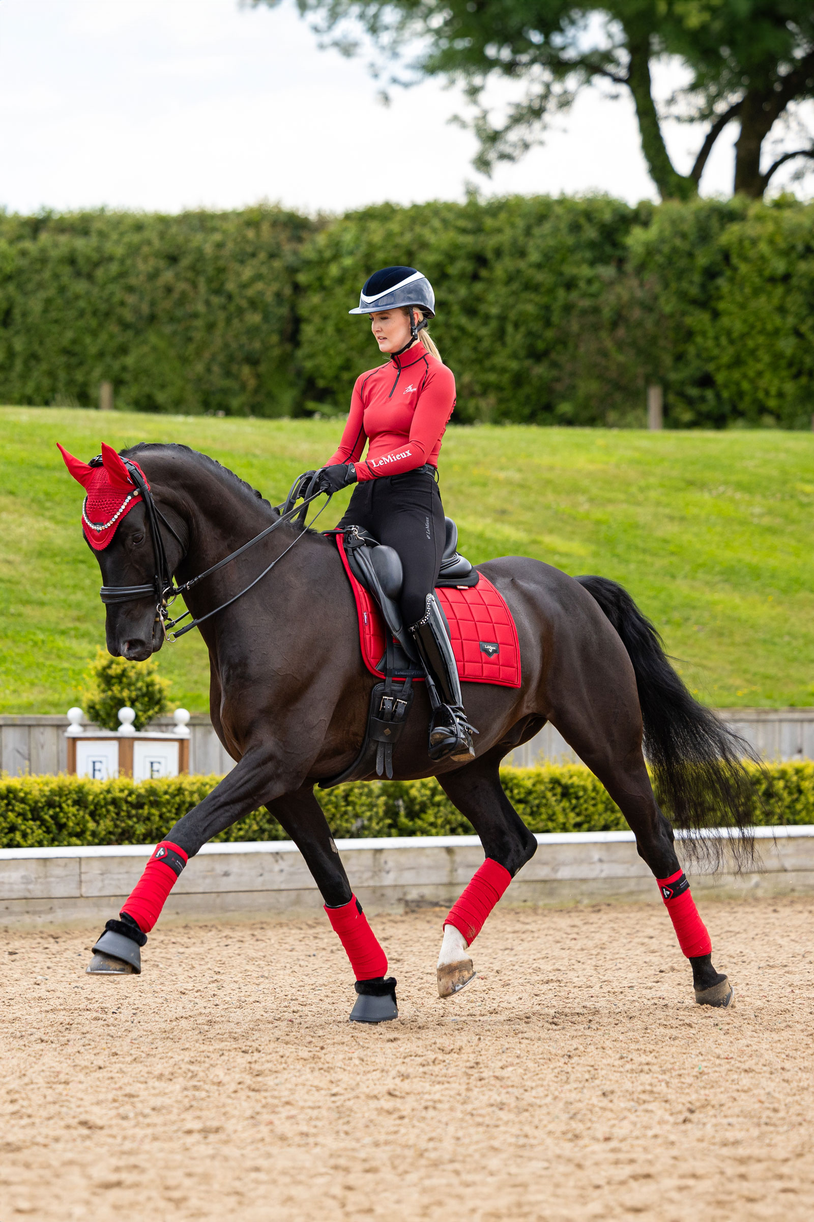LeMieux Loire Klassische Quadratische Dressur Schabracke