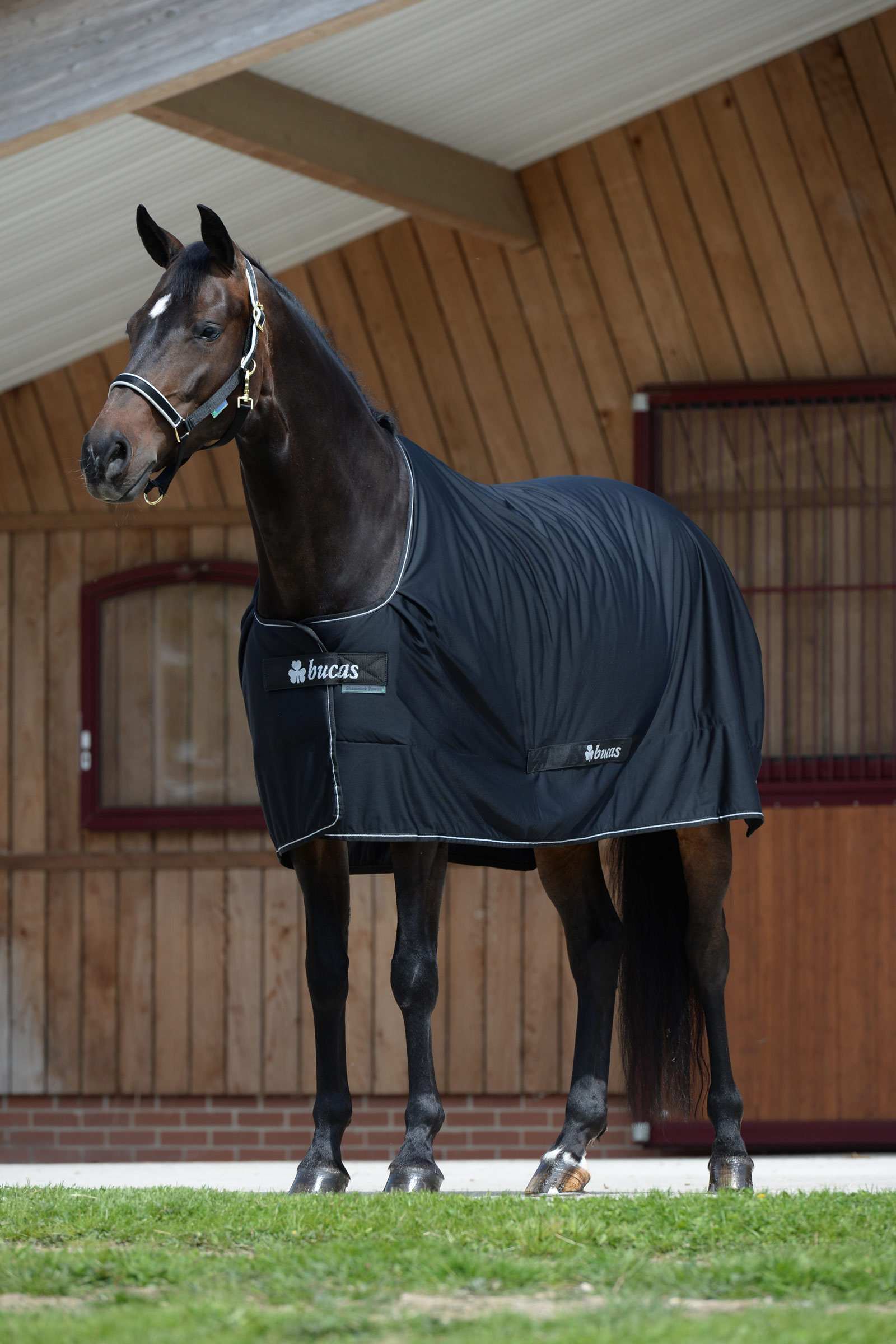 Bucas Shamrock Power Decke