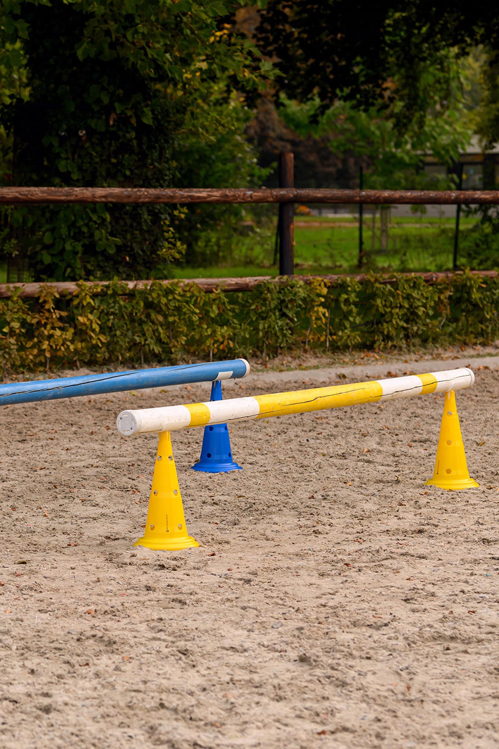 Waldhausen XL Pylonen mit Tragetasche (8 St&uuml;ck)