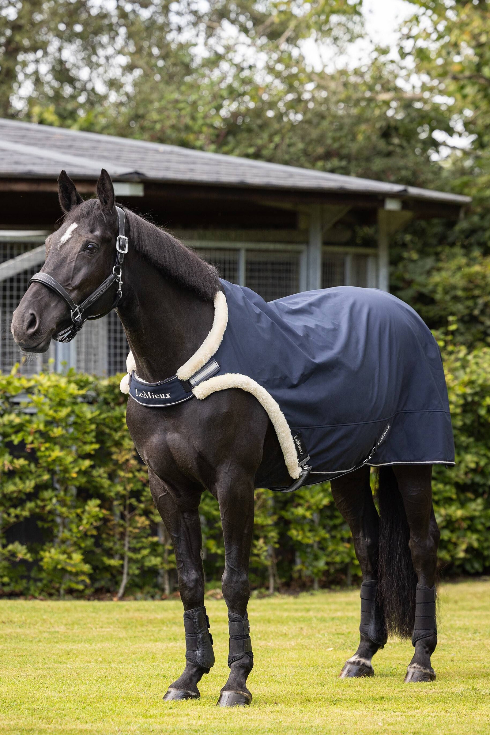 LeMieux Führanlagendecke