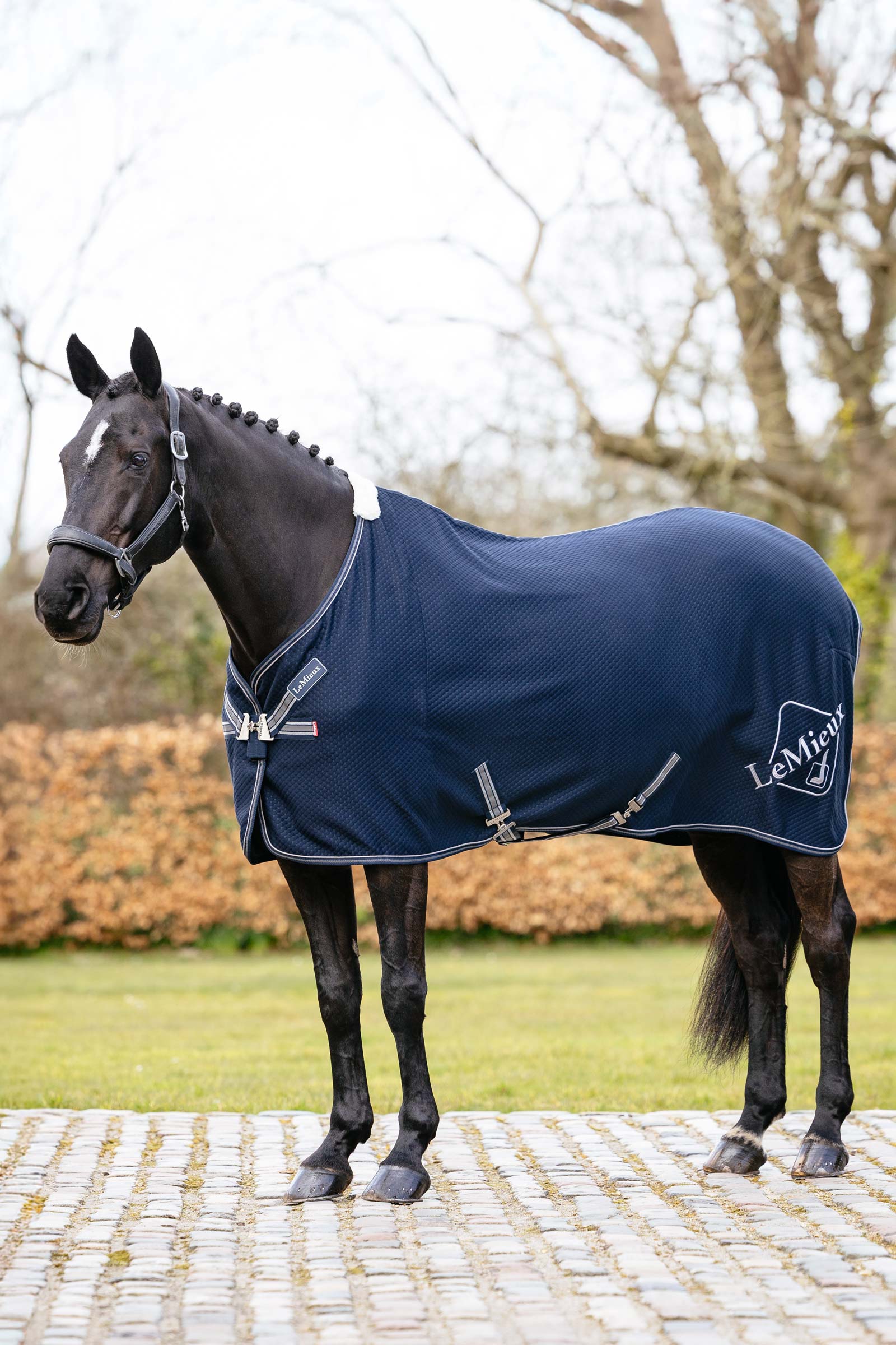 LeMieux Kudos Bambus Abschwitzdecke