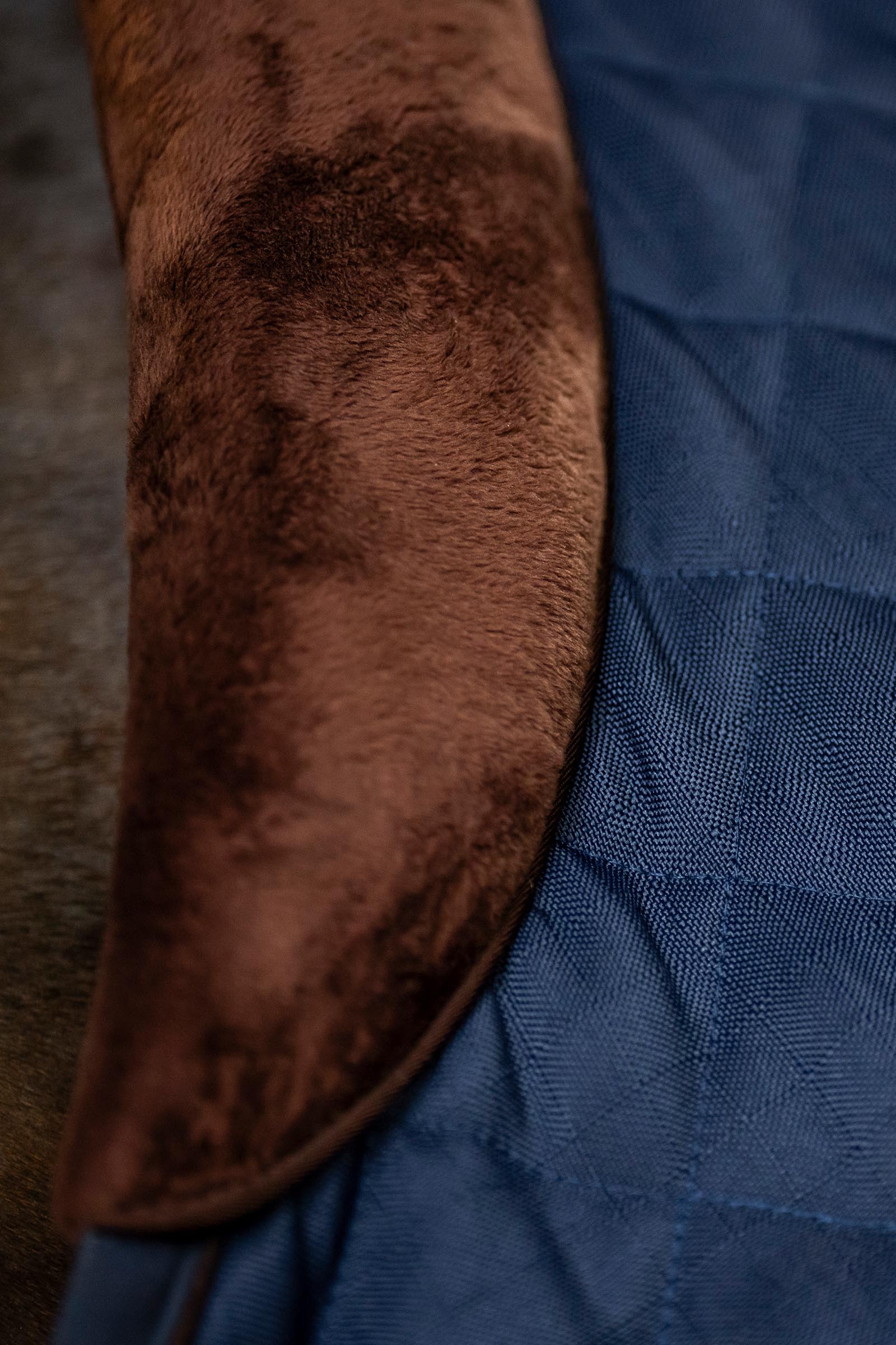 Horseware Signature Stalldecke, 200 g