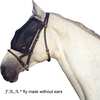 F.R.A. Freedom Riding Articles Cavallo Fliegenmaske